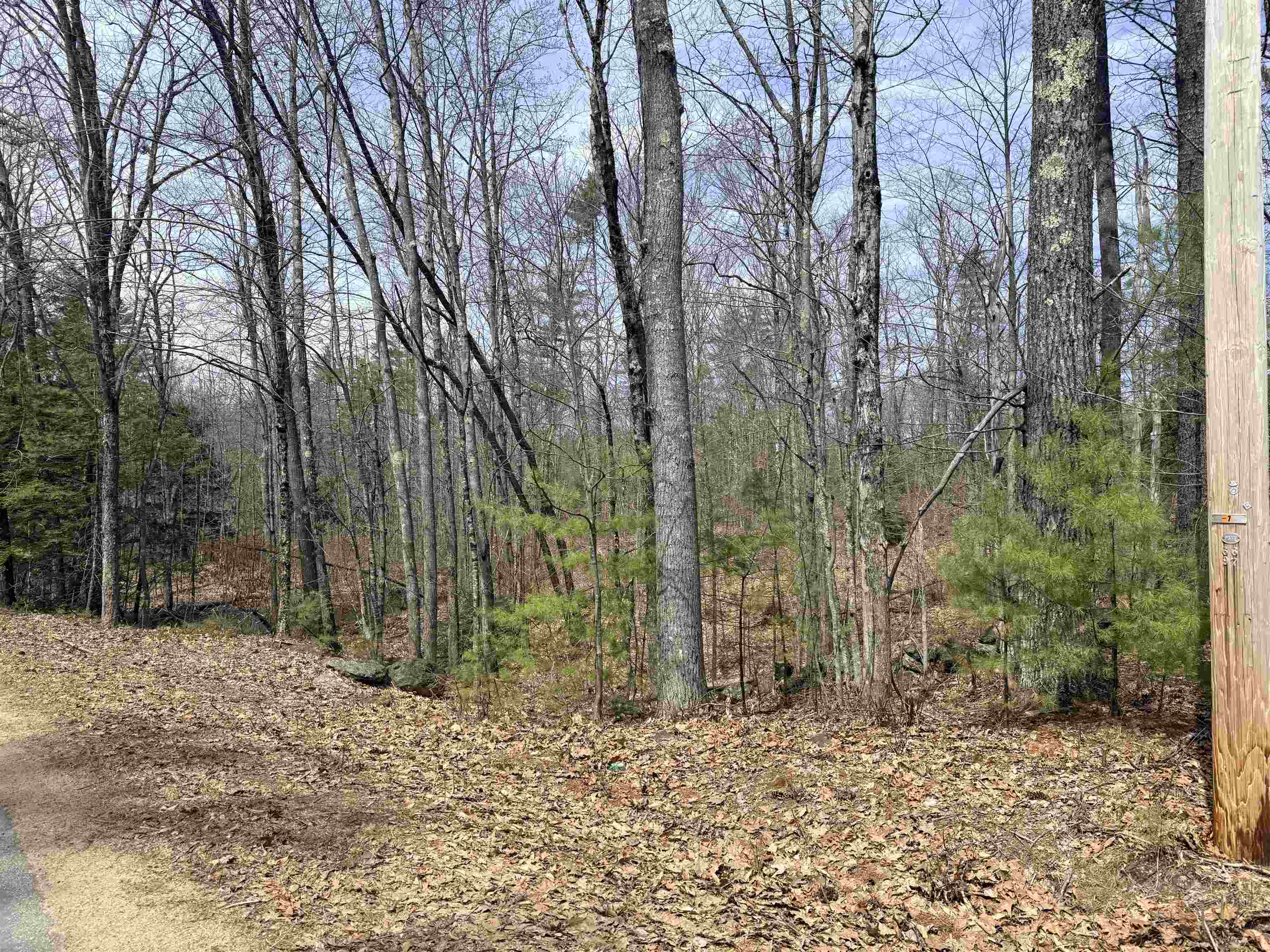 Map 208 lot 8 Baptist Hill Rd, Canterbury, NH 03224