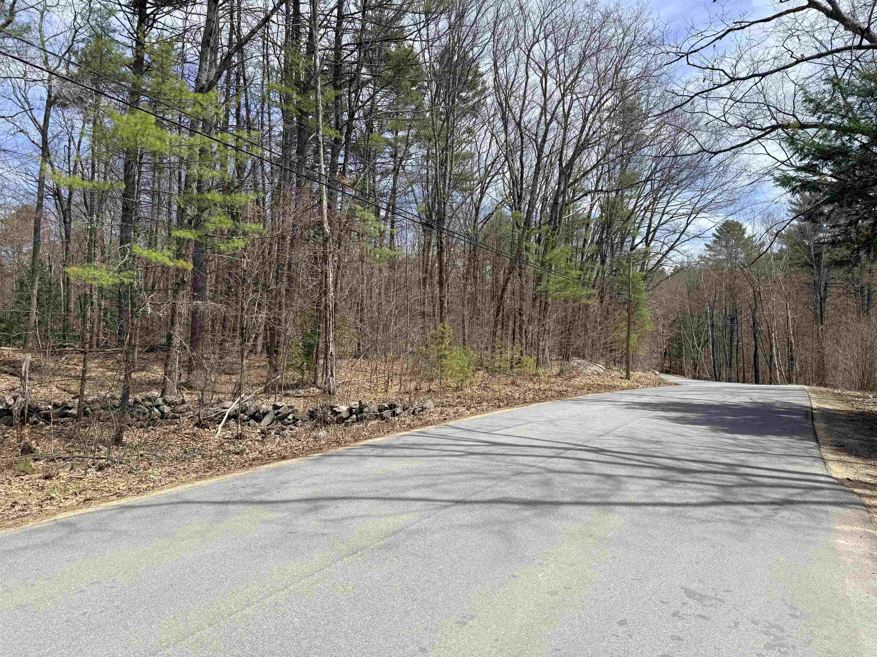 Map 208 lot 8 Baptist Hill Rd, Canterbury, NH 03224