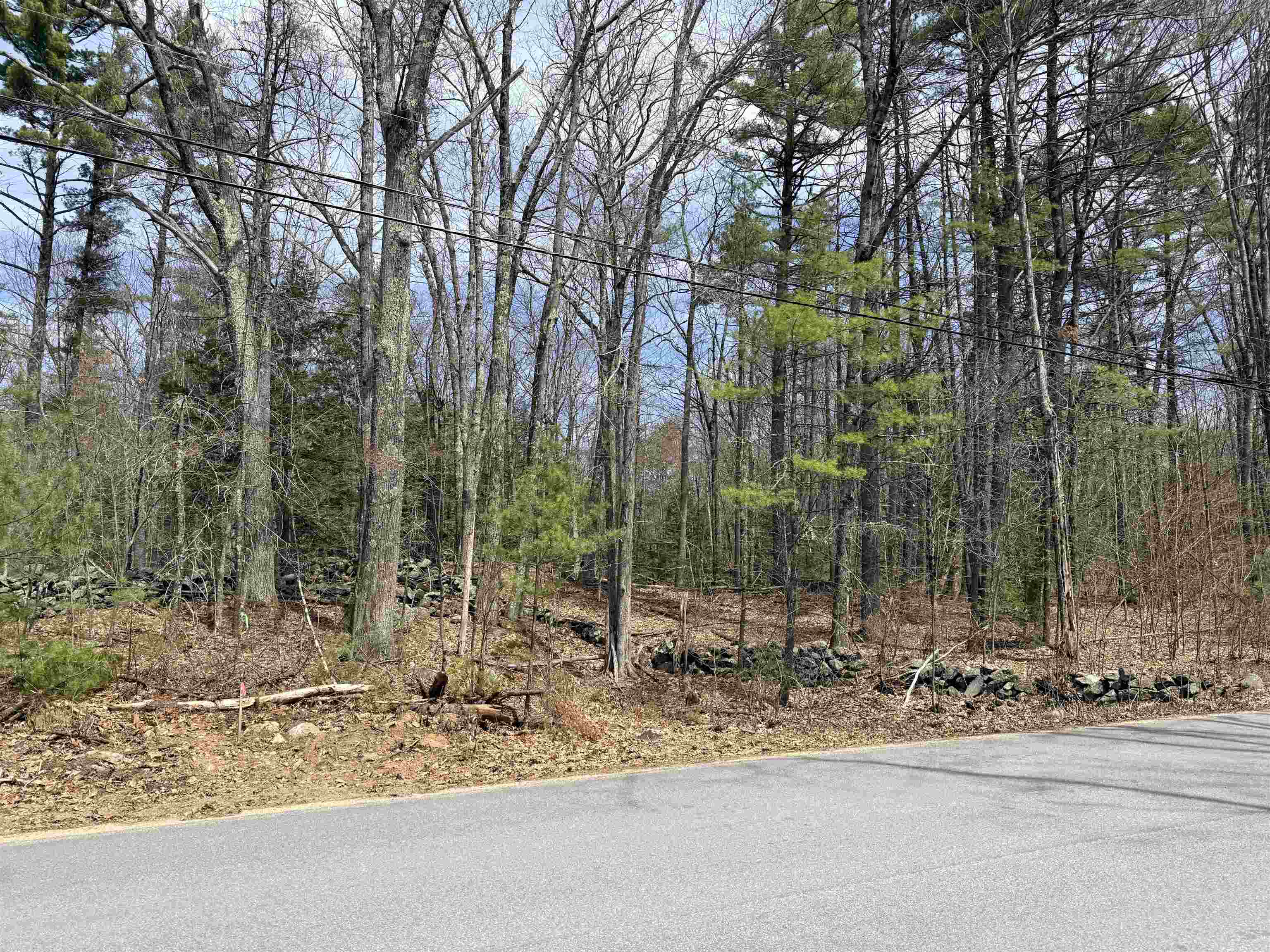 Map 208 lot 8 Baptist Hill Rd, Canterbury, NH 03224