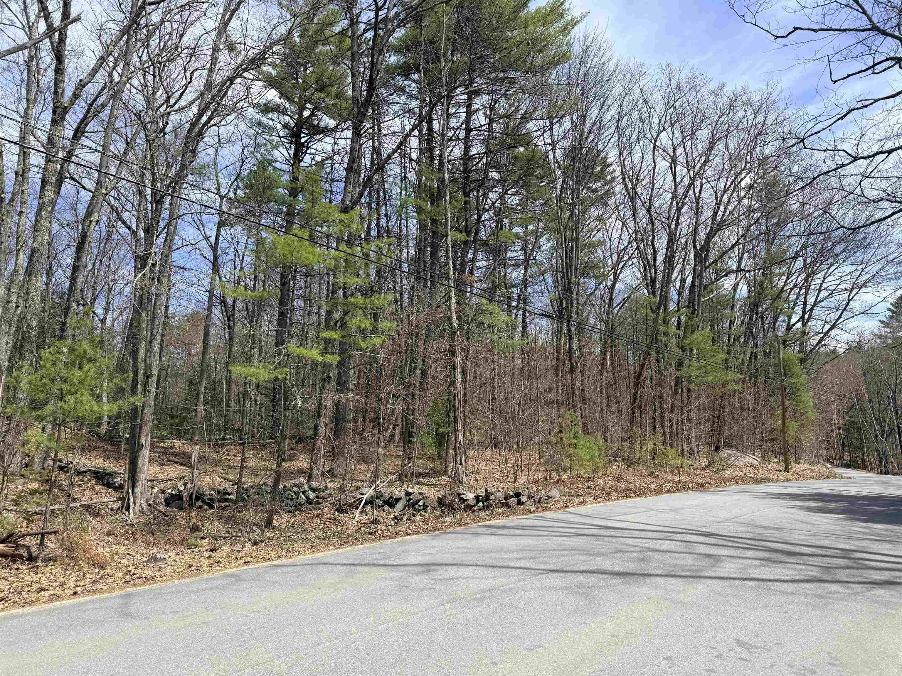 Map 208 lot 8 Baptist Hill Rd, Canterbury, NH 03224