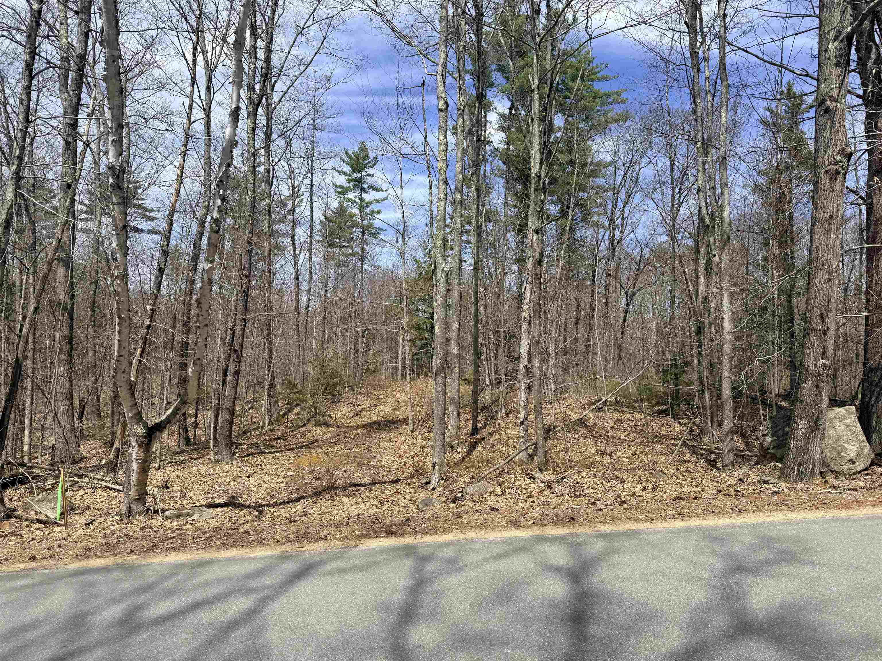 Map 208 Lot 8-1 Baptist Hill Rd, Canterbury, NH 03224