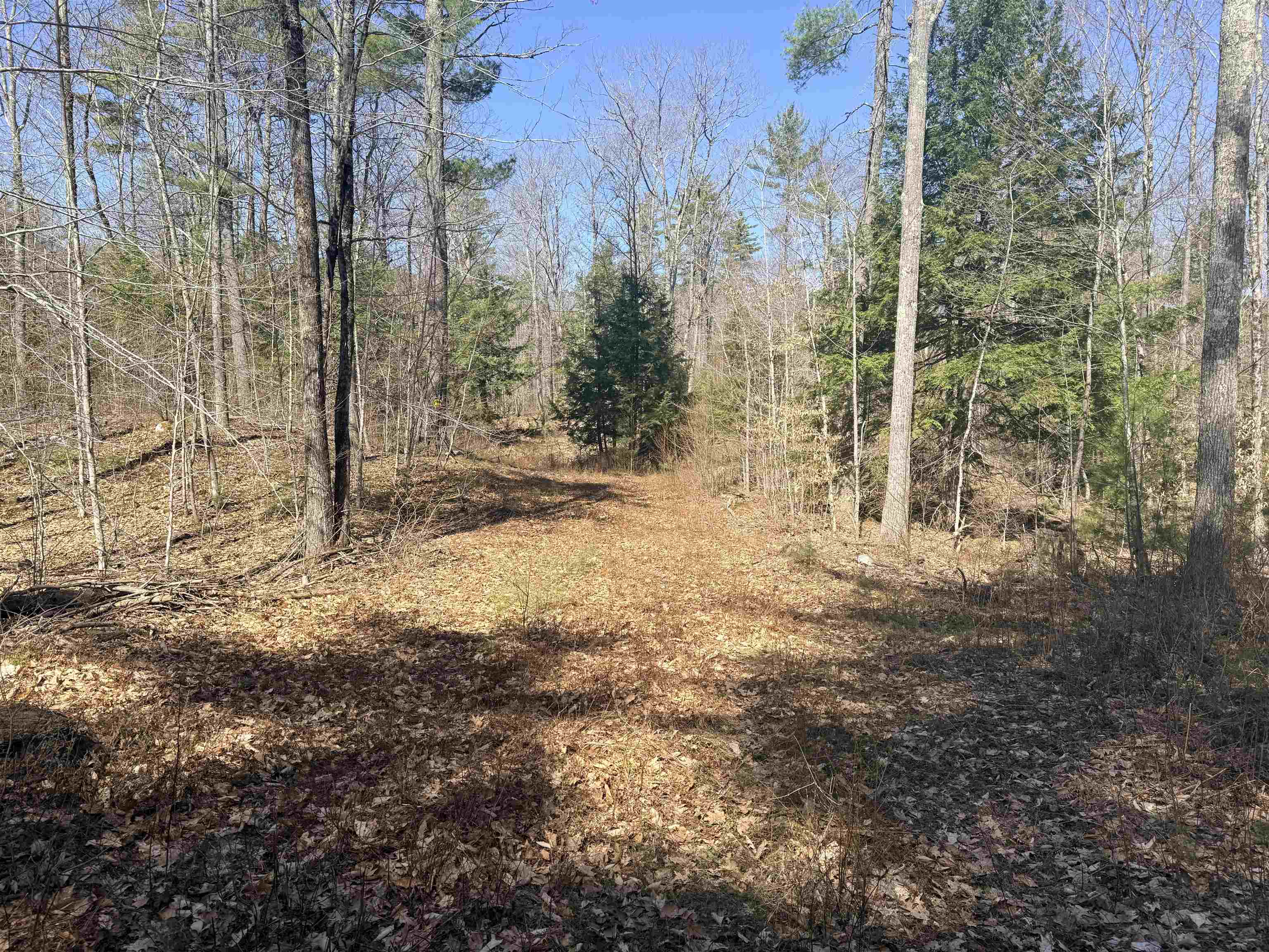 Map 208 Lot 8-1 Baptist Hill Rd, Canterbury, NH 03224