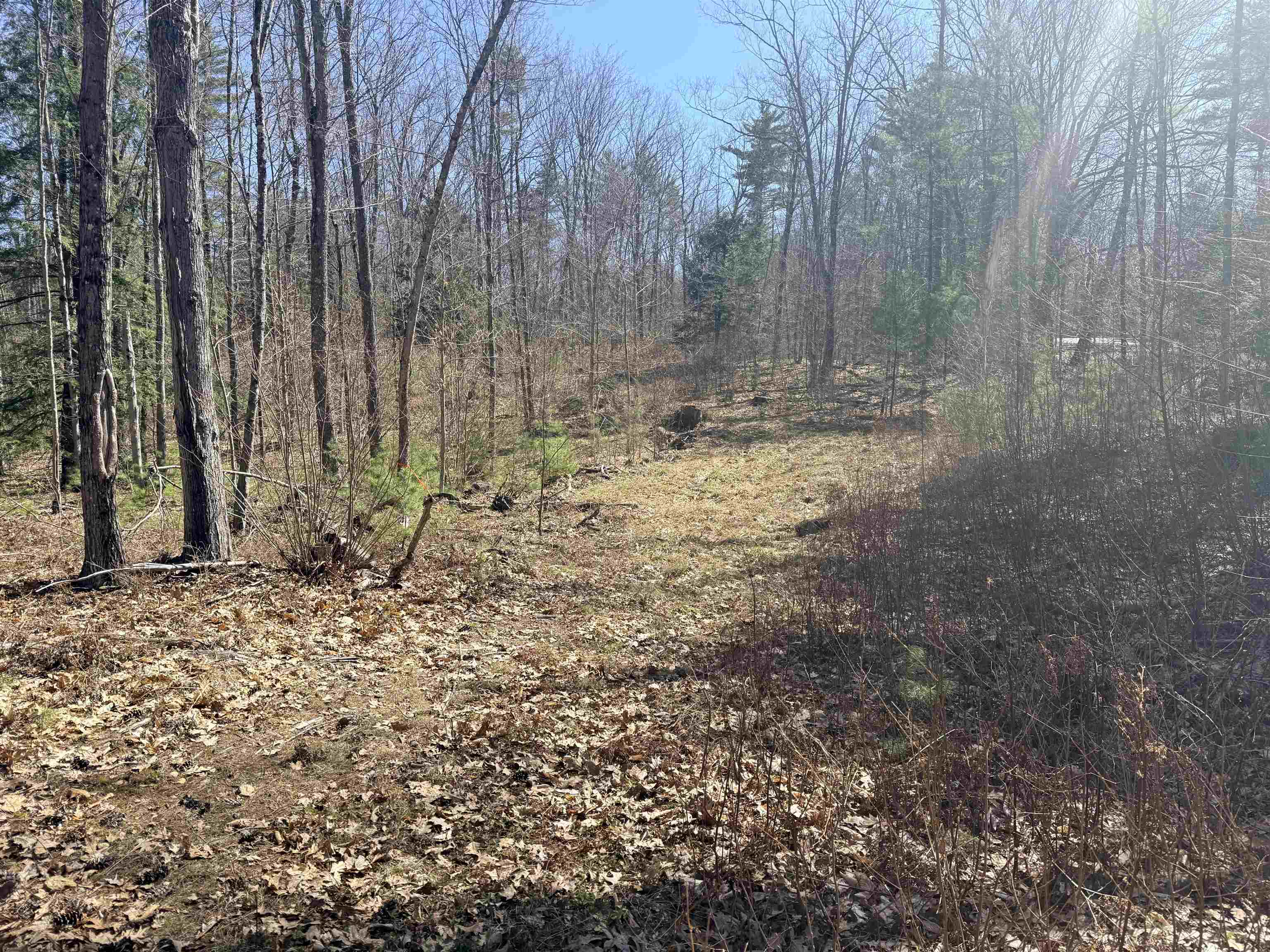 Map 208 Lot 8-2 Baptist Hill Rd, Canterbury, NH 03224