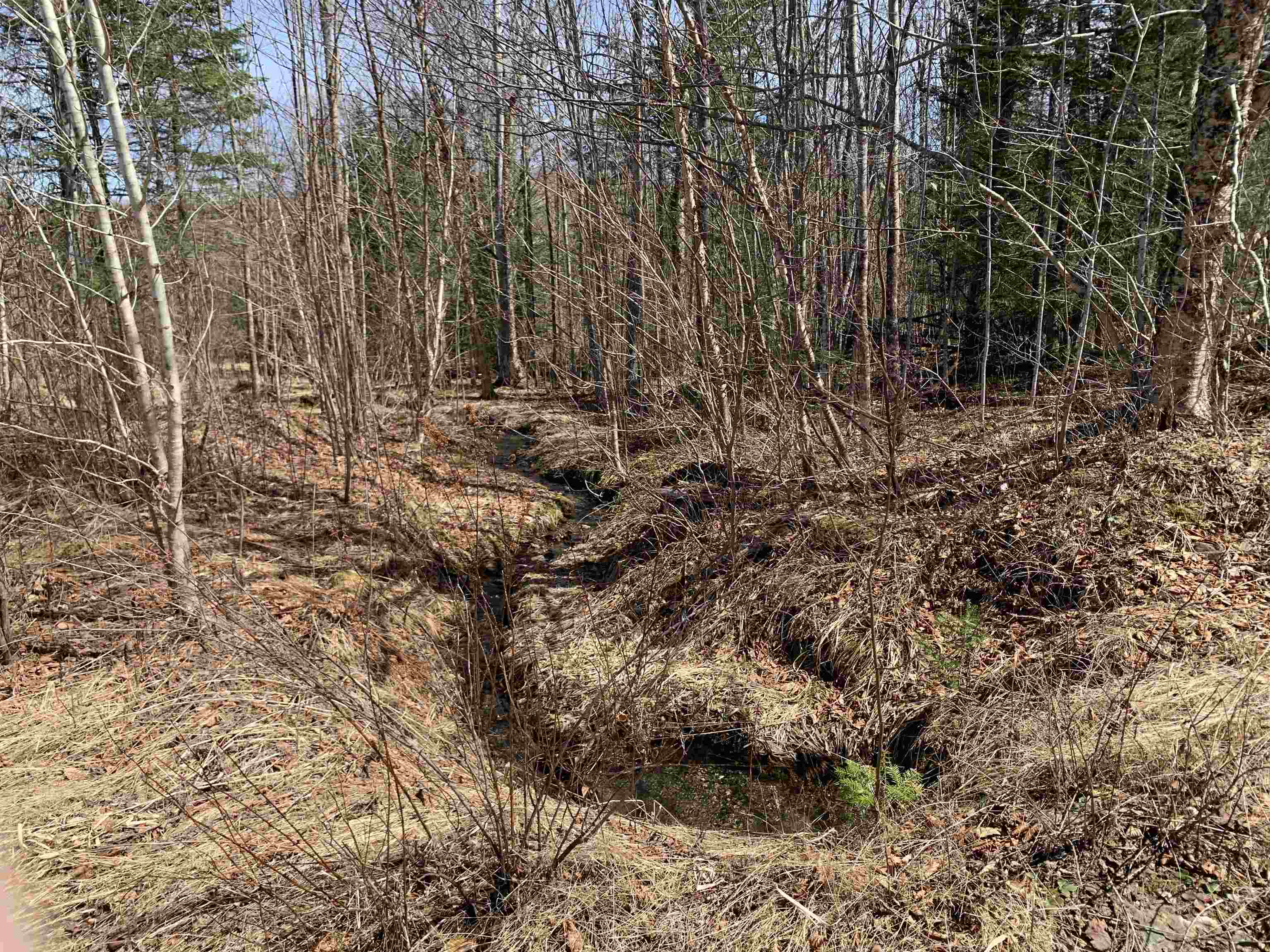 4 Washburn Rd, Columbia, NH 03576