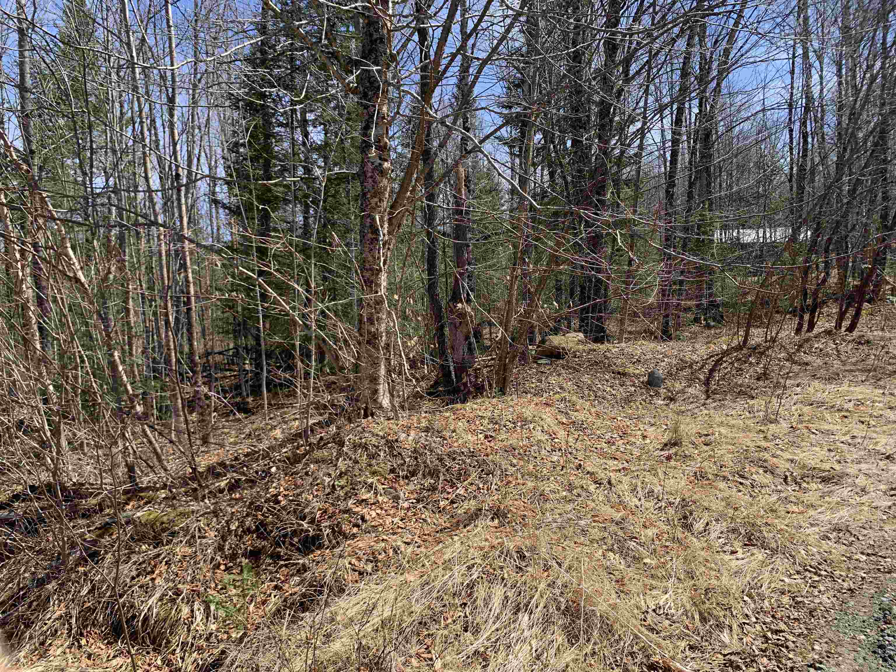 4 Washburn Rd, Columbia, NH 03576