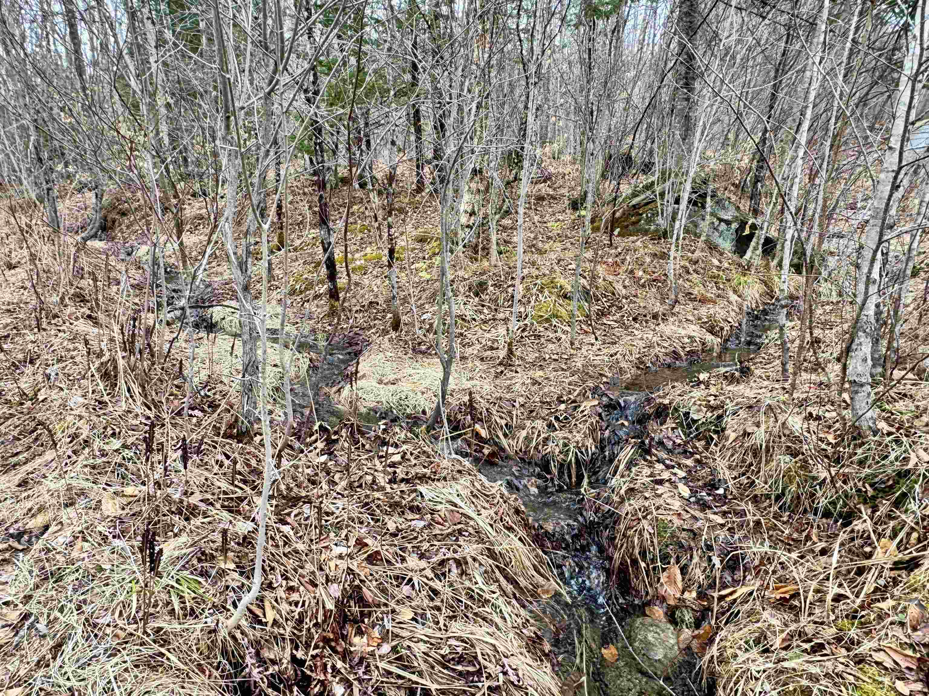 4 Washburn Rd, Columbia, NH 03576