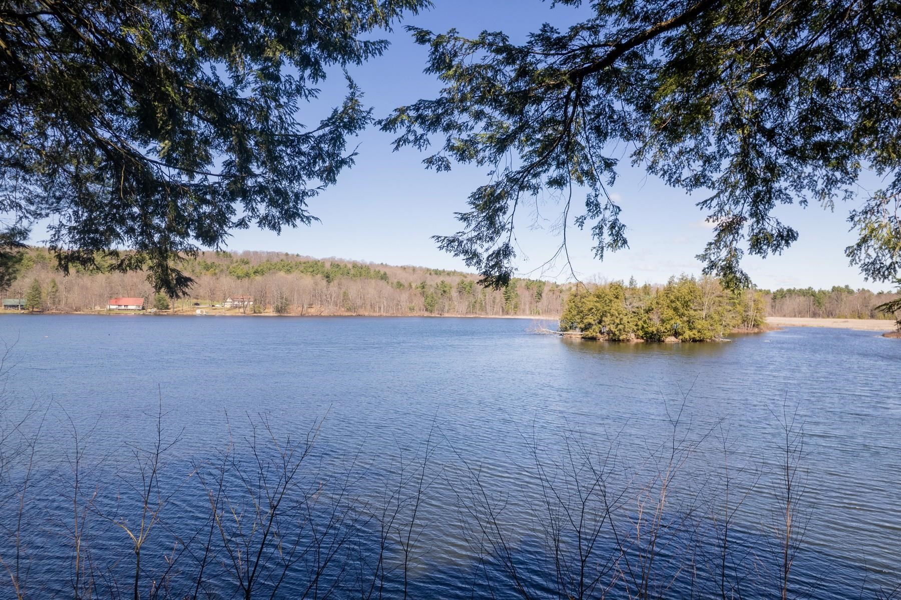 Lake Hortonia