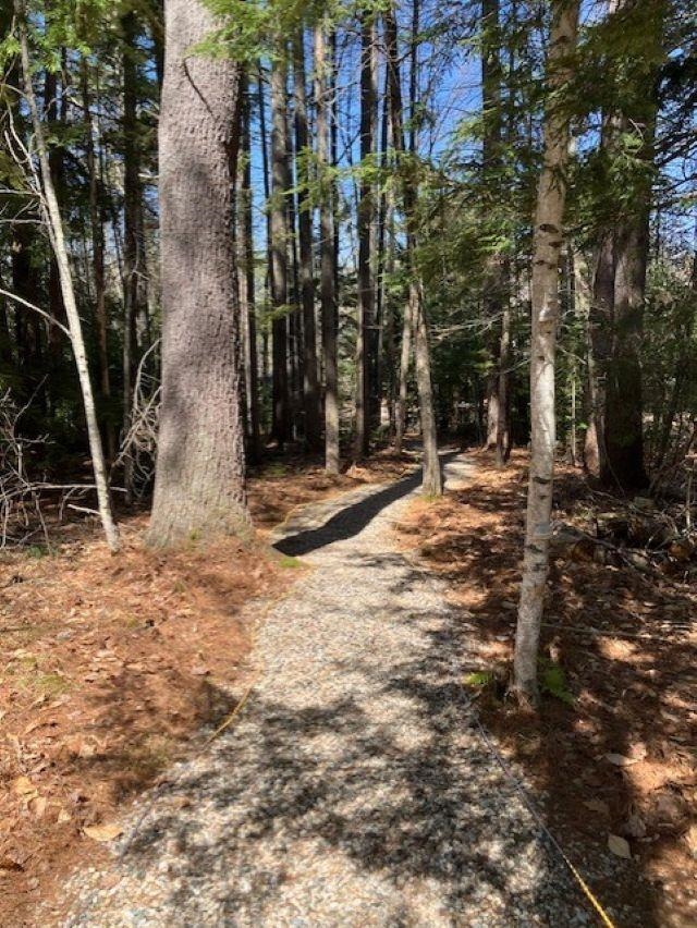 Lake path