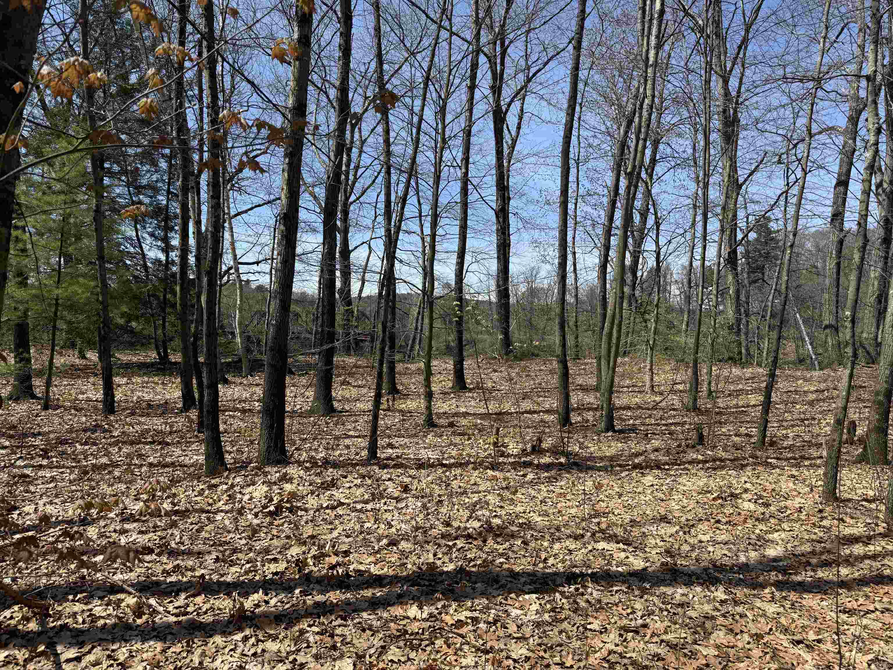 244 Mountain Rd, Chesterfield, NH 03466