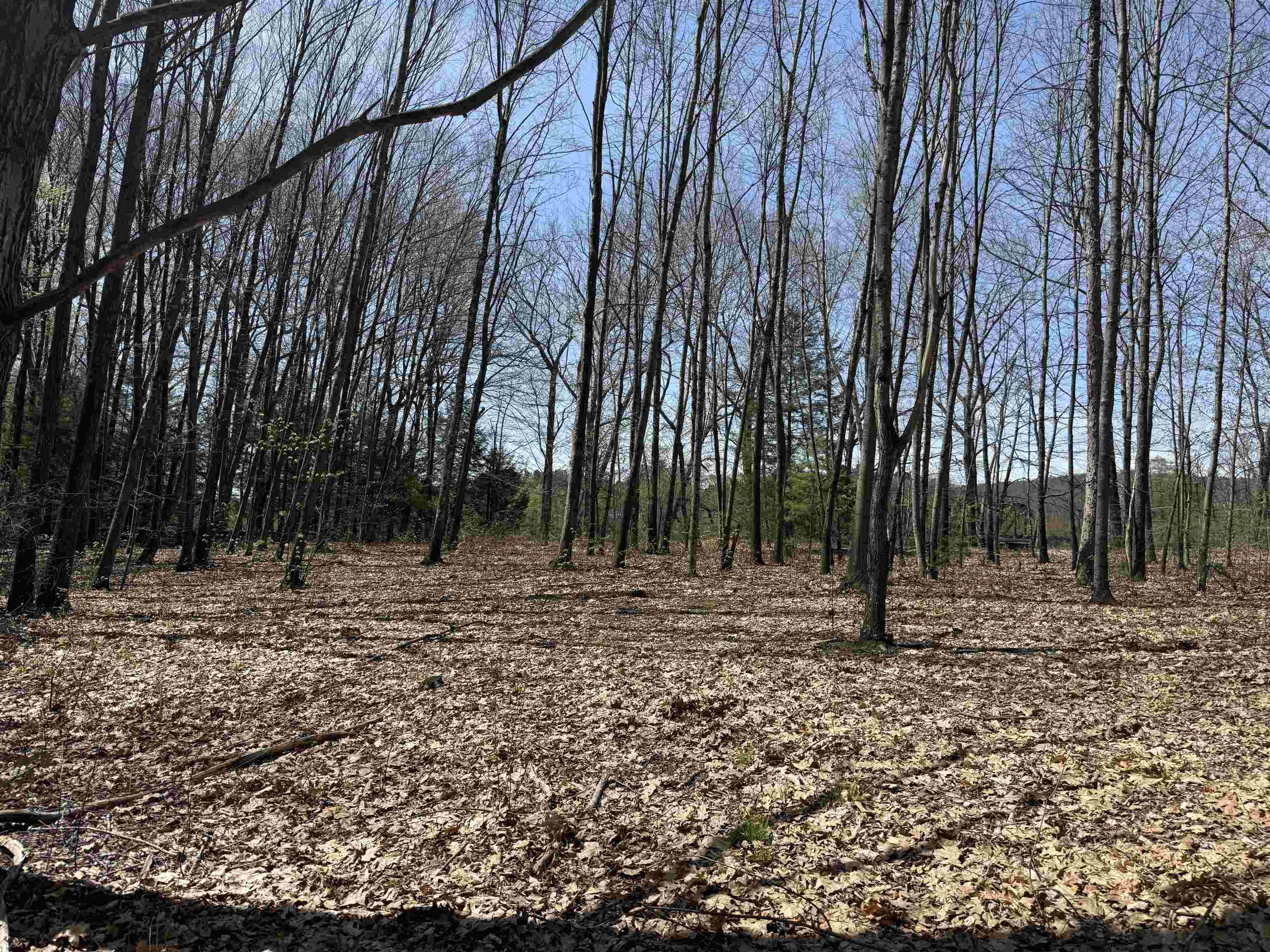 244 Mountain Rd, Chesterfield, NH 03466
