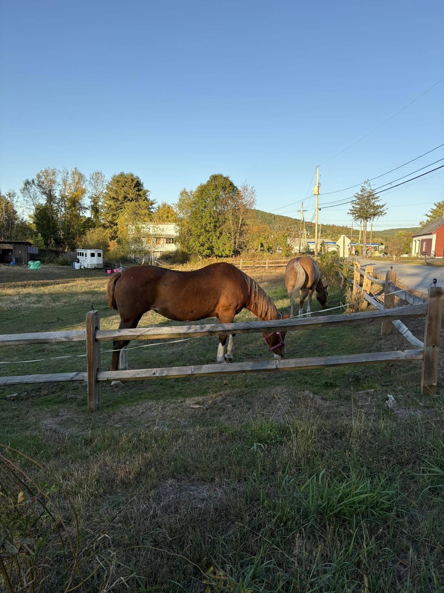 19 Back Ashuelot Rd, Winchester, NH 03470