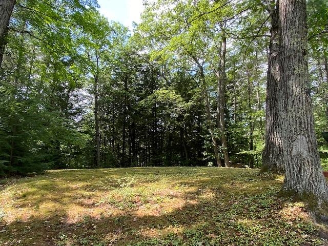Yard towards Rt 103 25114842