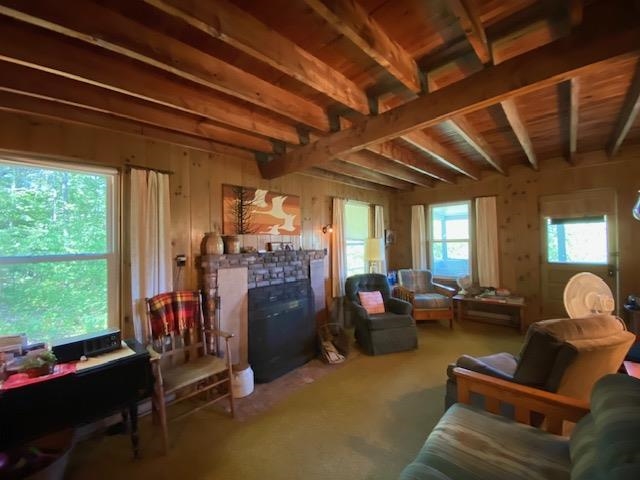 Living room newer windows 25114818