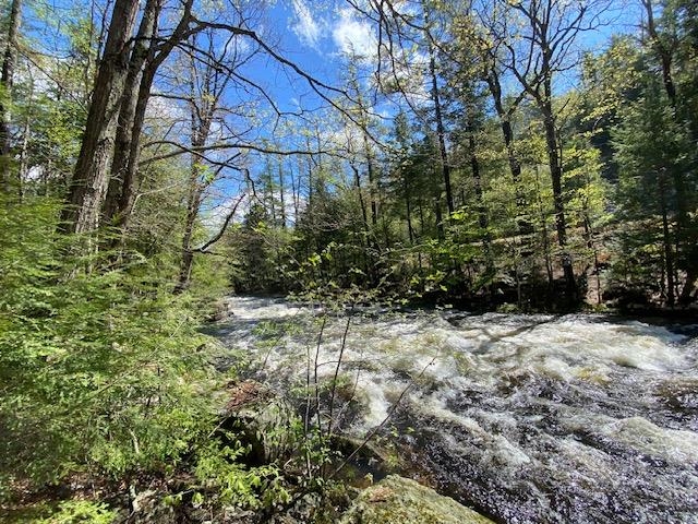 Spring waters rush fast 25148724