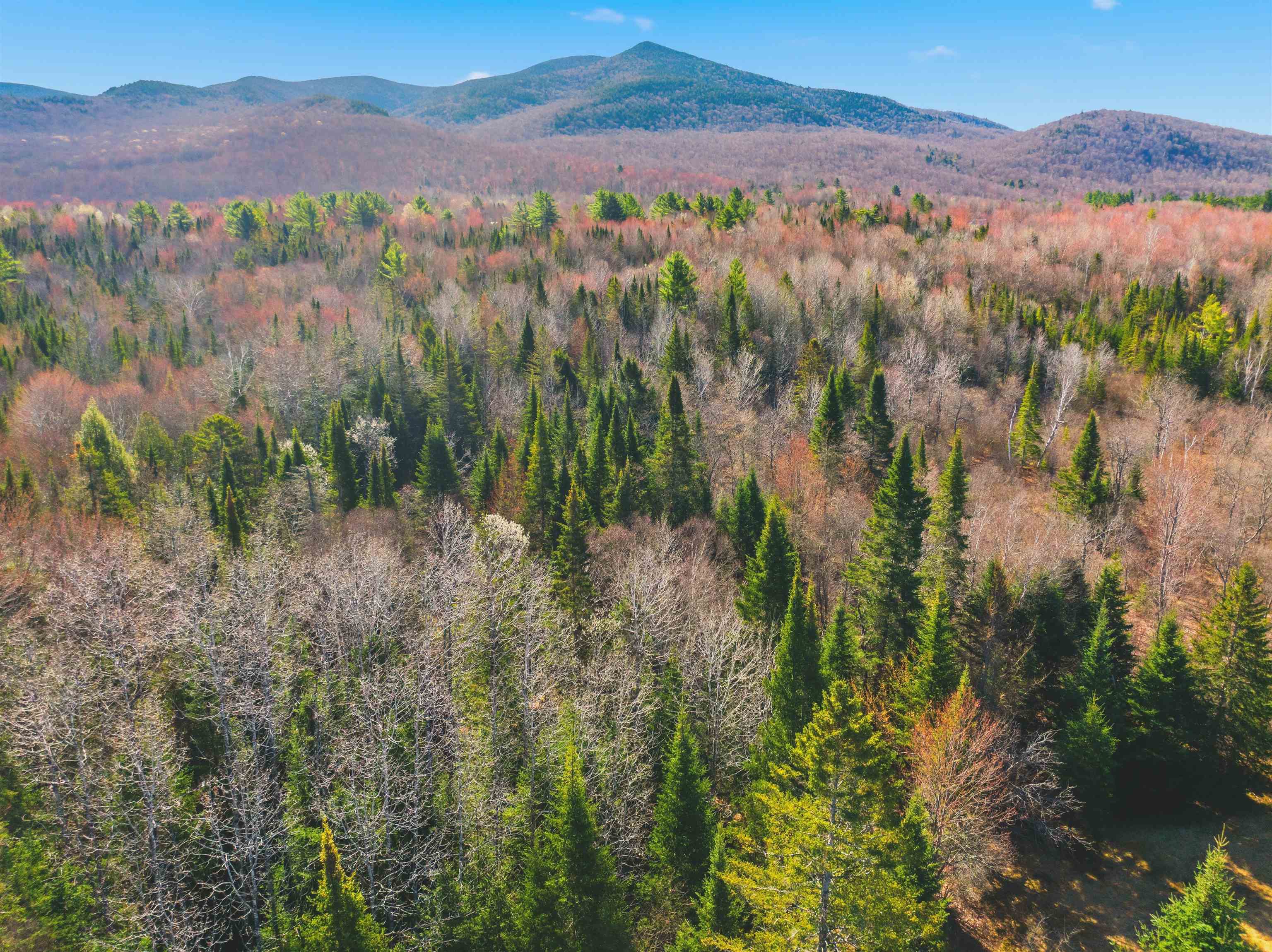 Thompson Rd, Northumberland, NH 03582