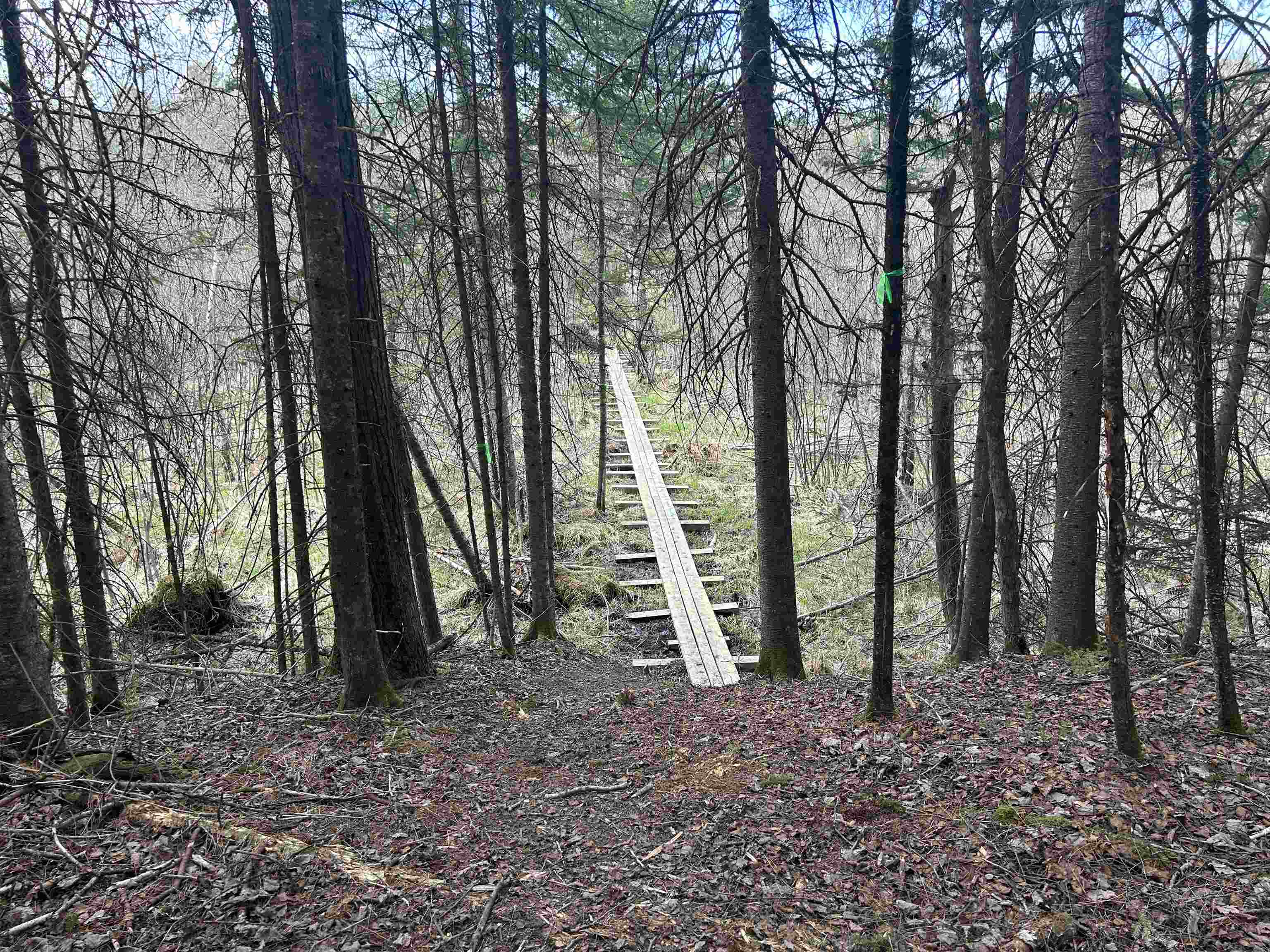 Property photo 18