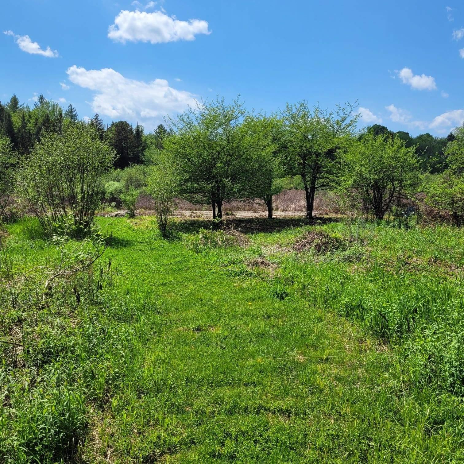 Property photo 28