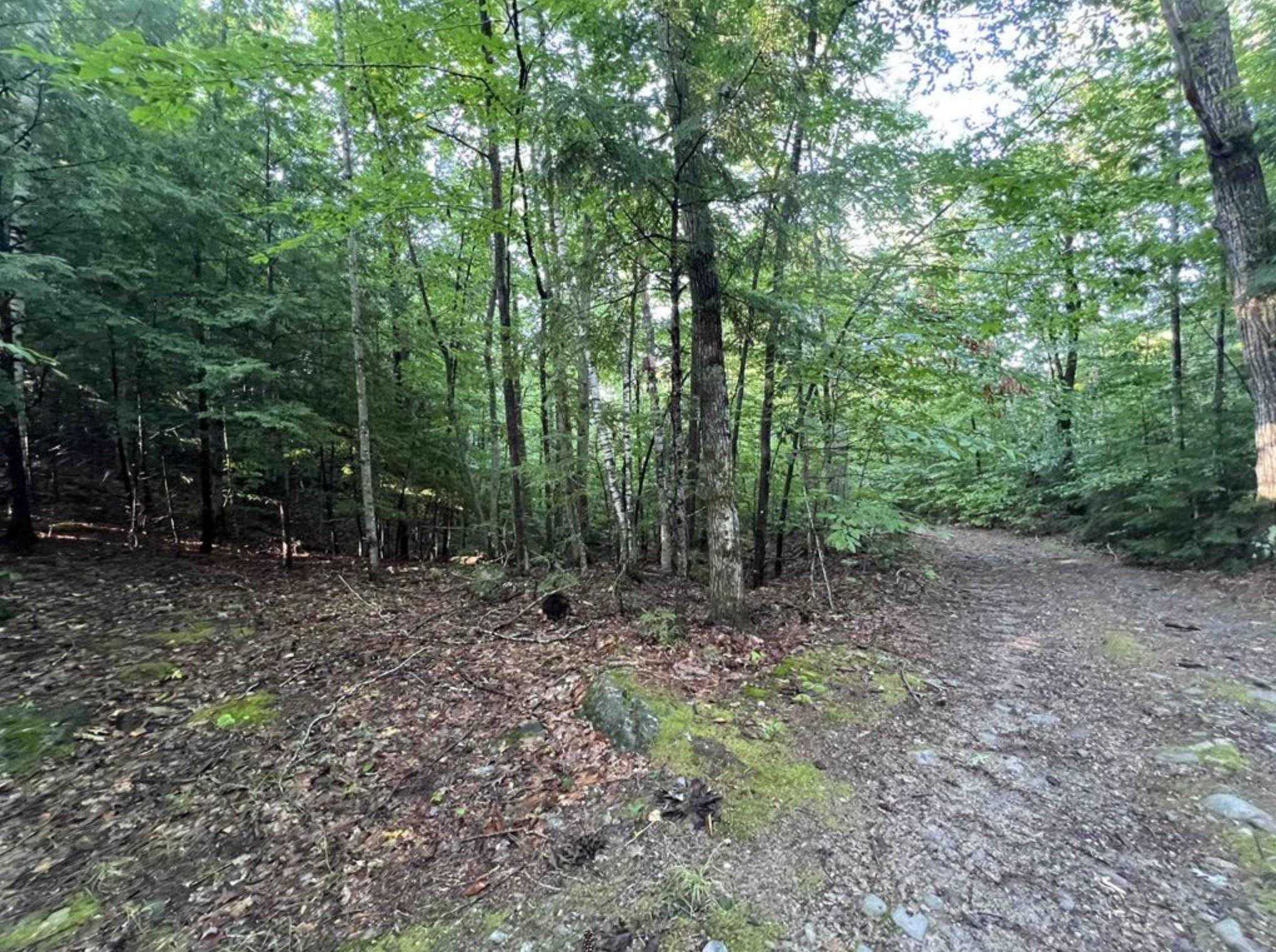0 Chadwick Hill Rd, Webster, NH 03303