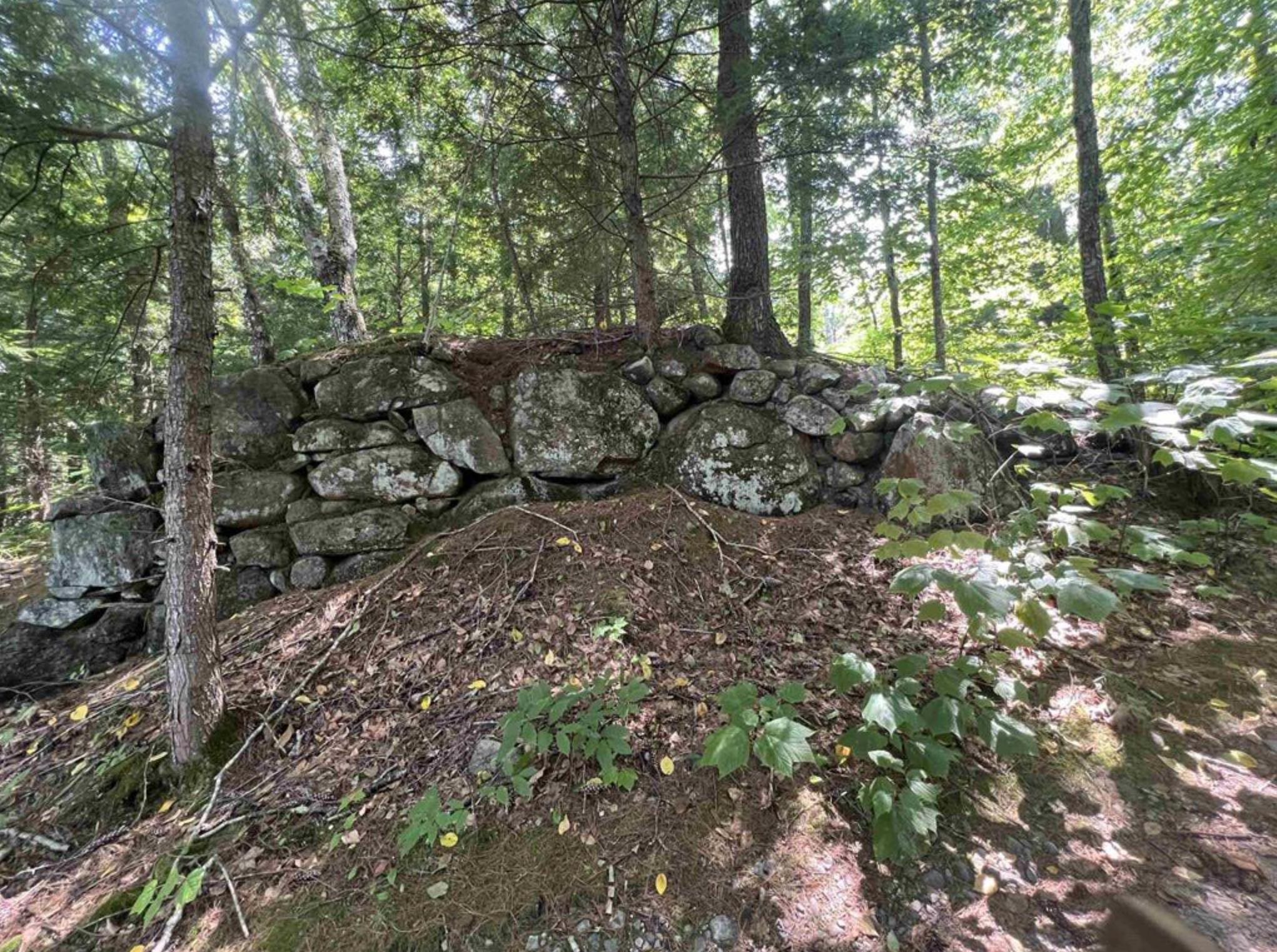 0 Chadwick Hill Rd, Webster, NH 03303