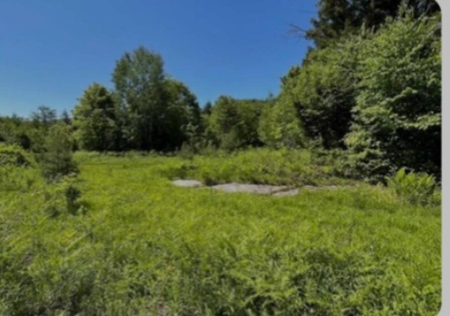 0 Alder Plains Rd, Bradford, NH 03221