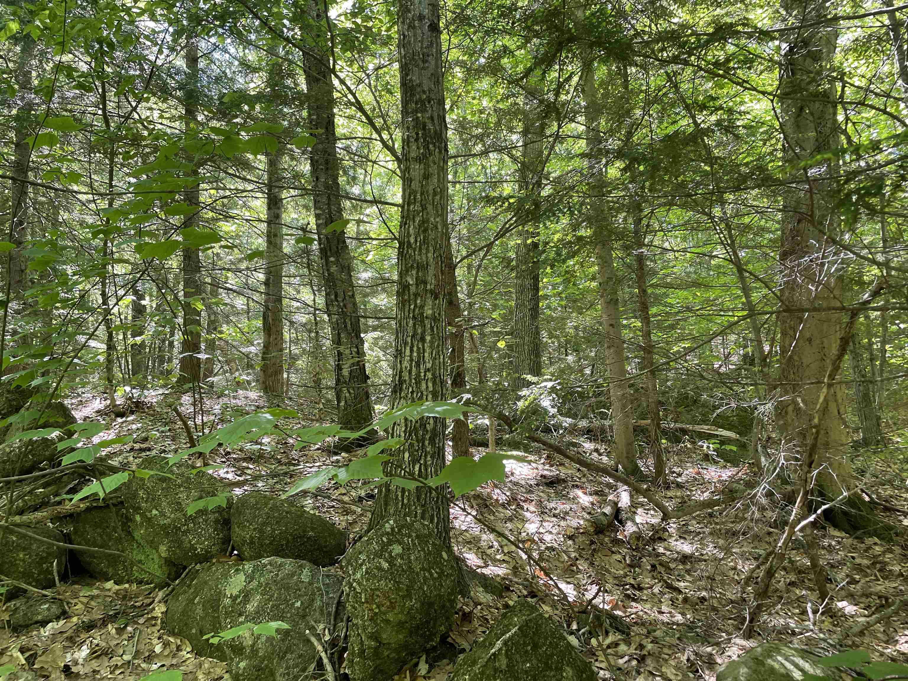 0 Alder Plains Rd, Bradford, NH 03221