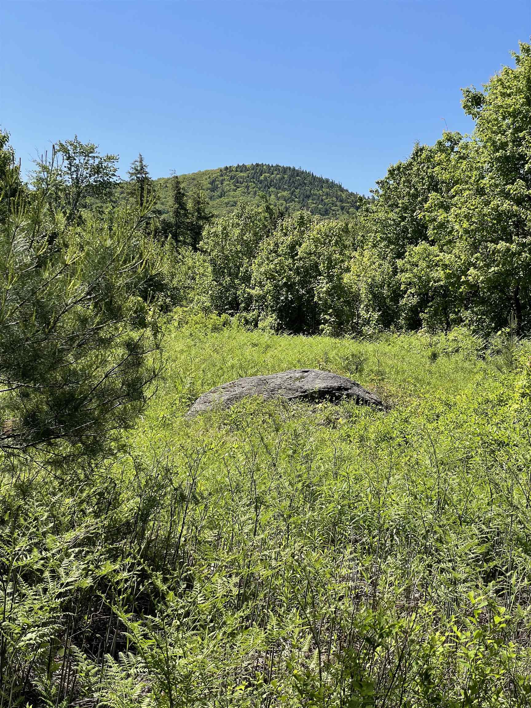 0 Alder Plains Rd, Bradford, NH 03221