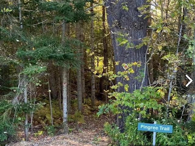 Easy trail access