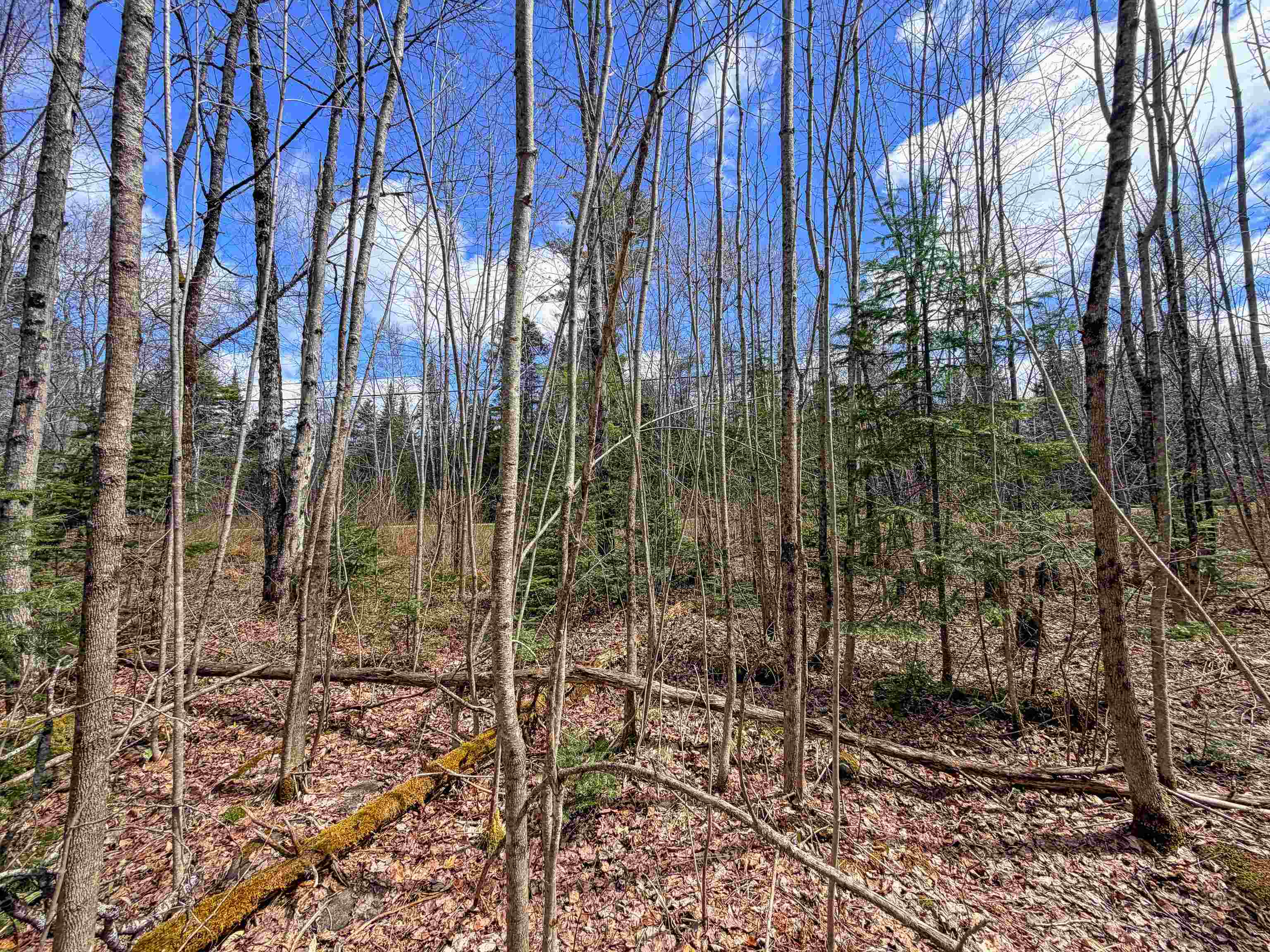 Lot 4 Oregon Rd, Concord, VT 05824