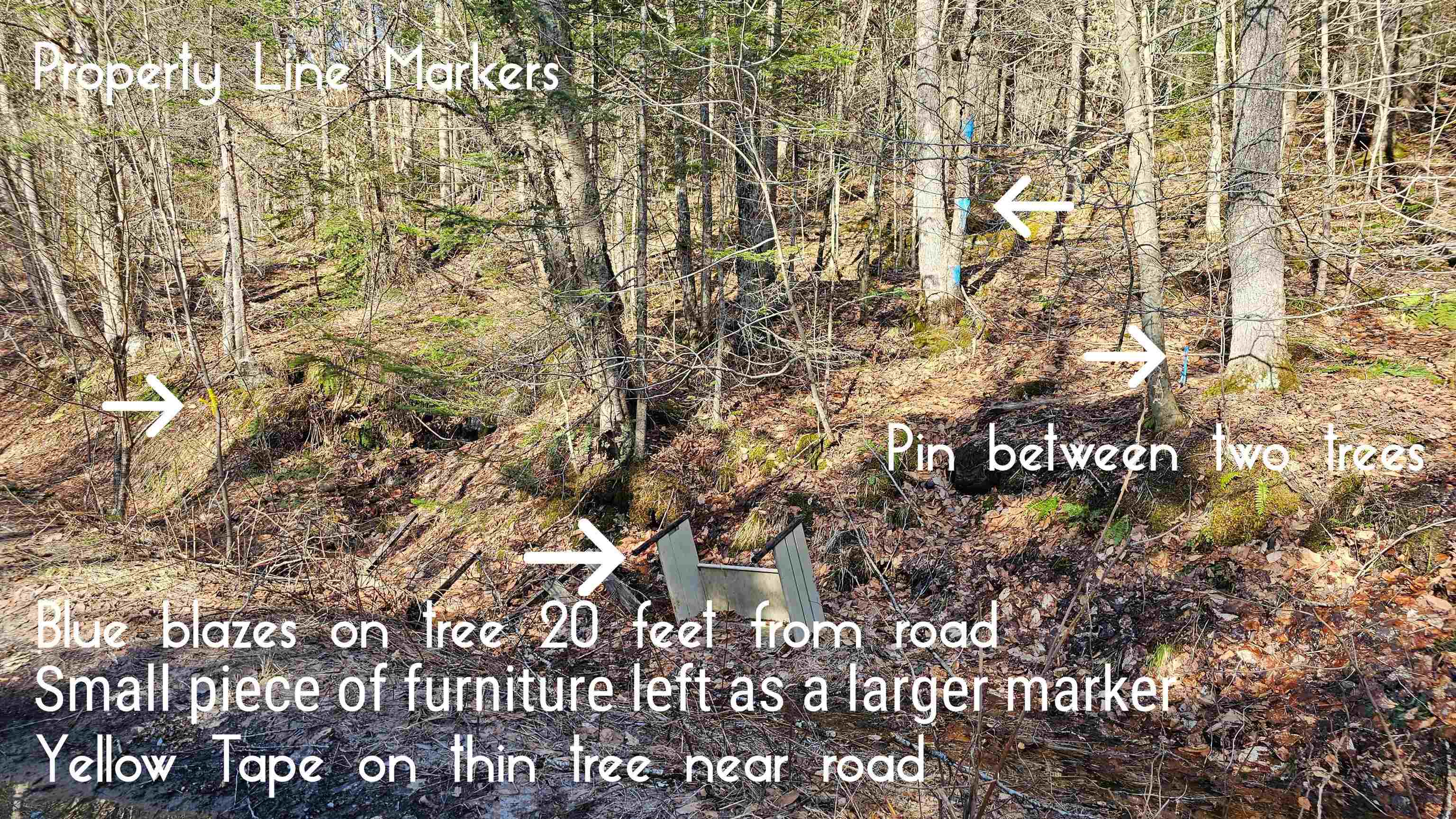 512 Woodbury Mountain Rd, Calais, VT 05648