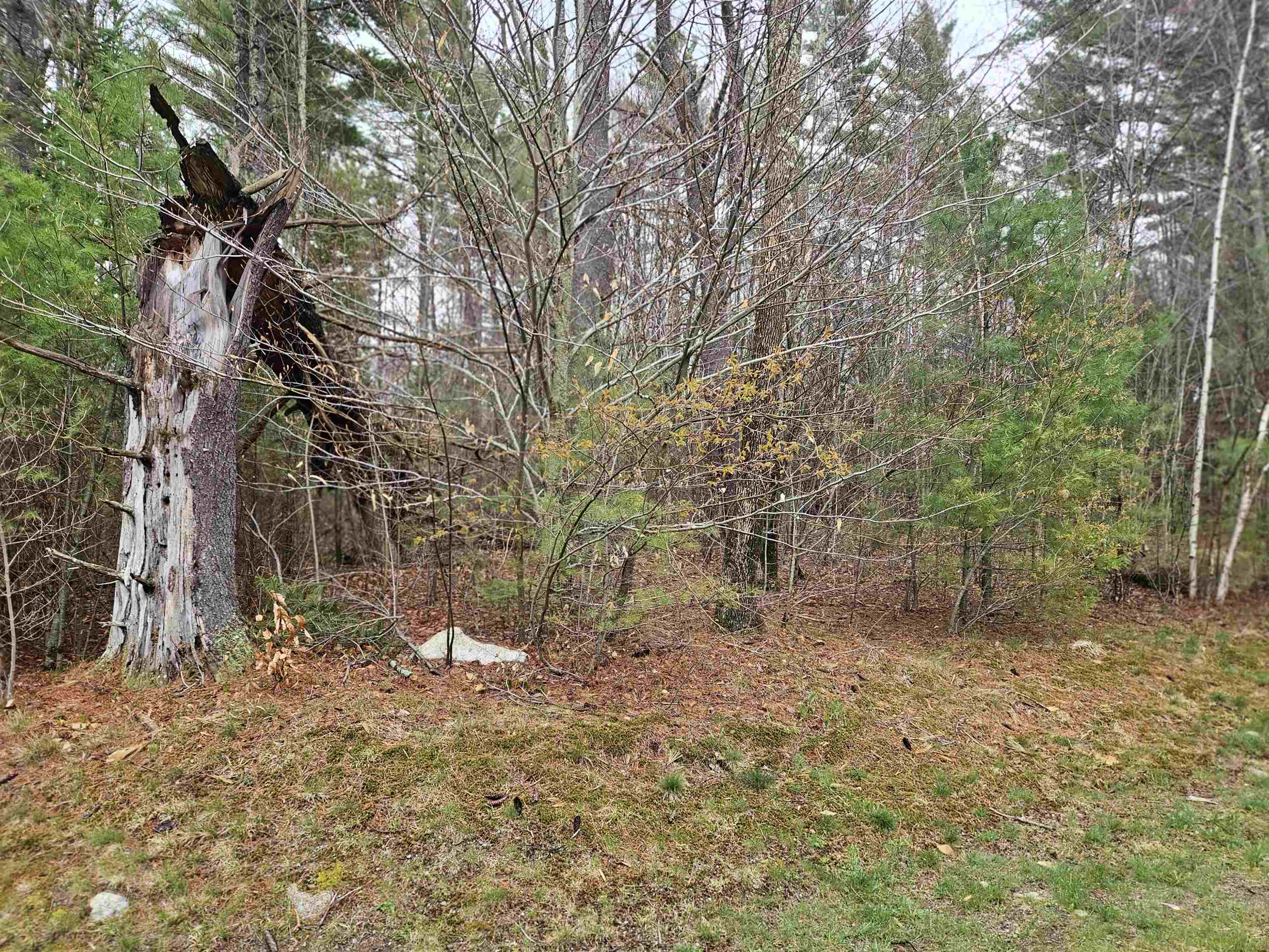 Lot 20 Point Of View Dr, Franconia, NH 03580