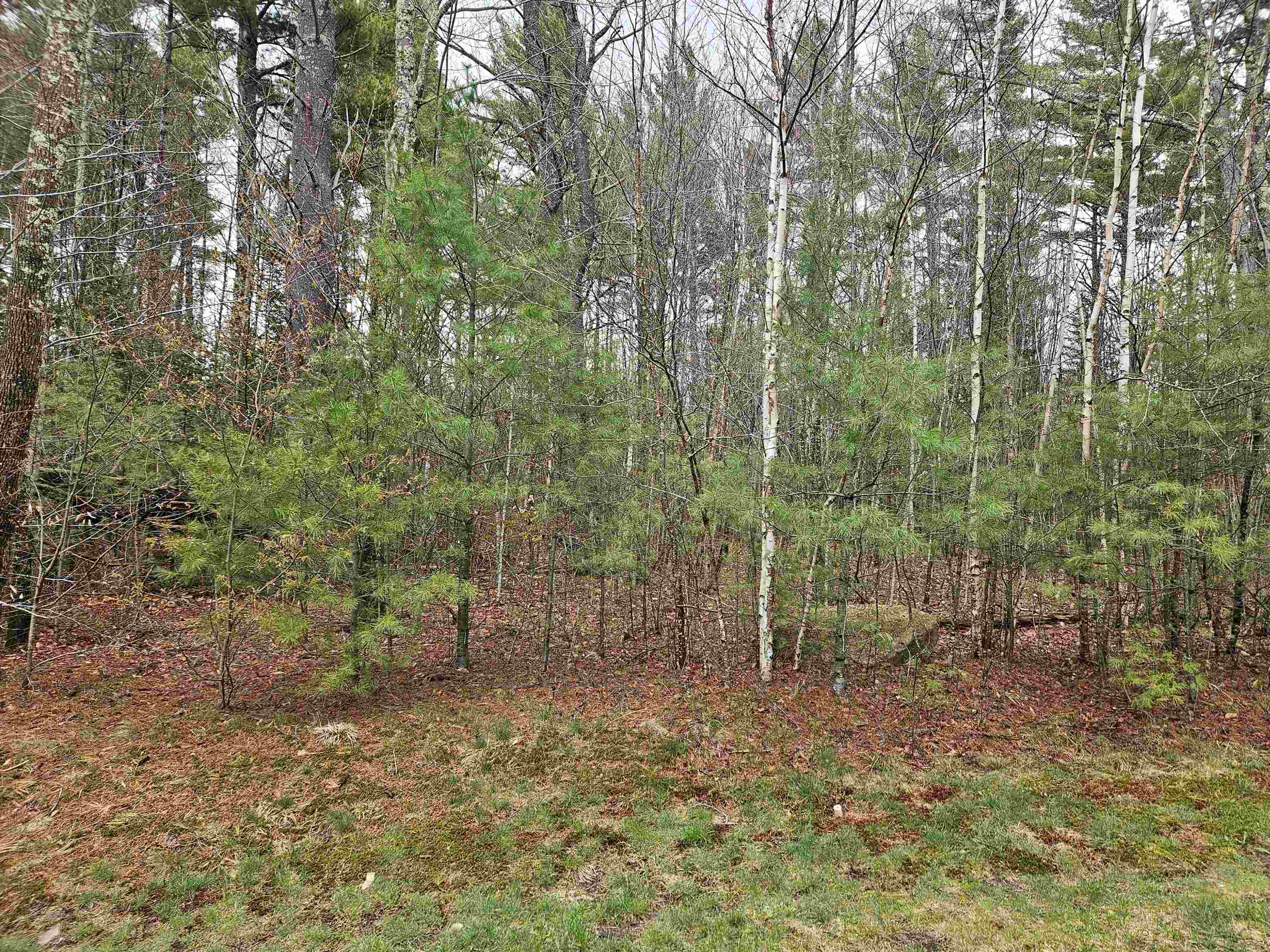 Lot 20 Point Of View Dr, Franconia, NH 03580