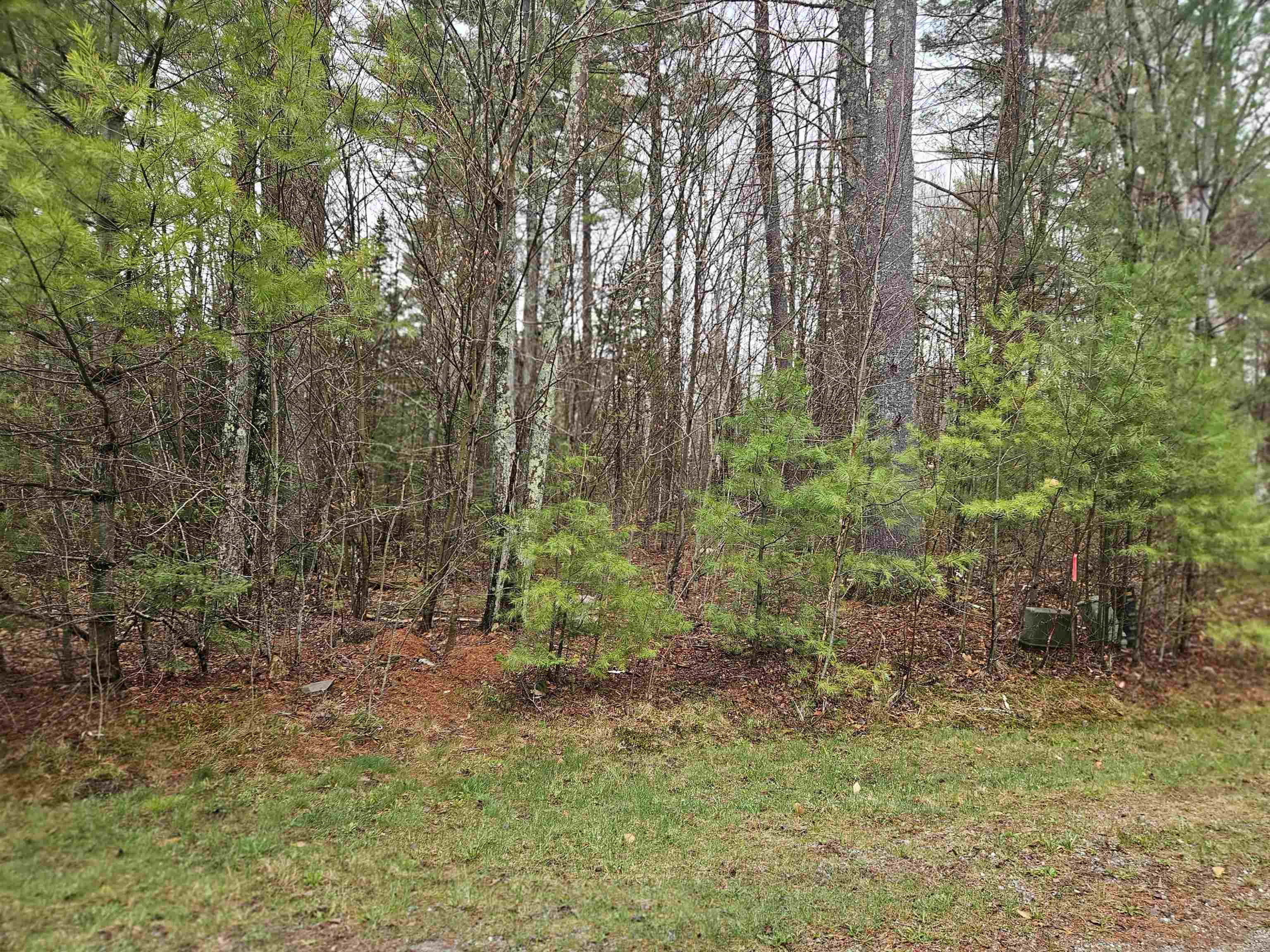 Lot 20 Point Of View Dr, Franconia, NH 03580