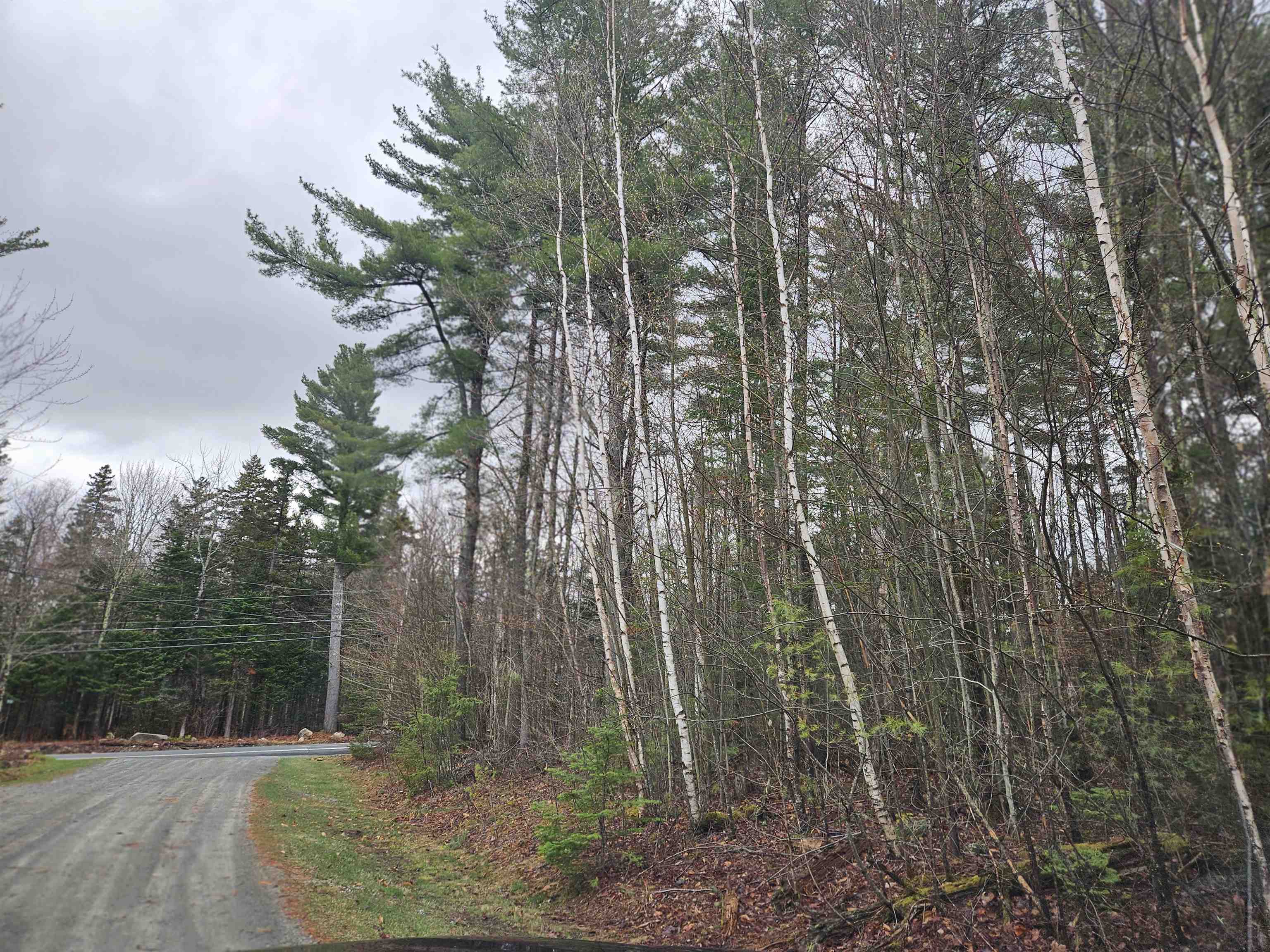 Property on the right in this photo