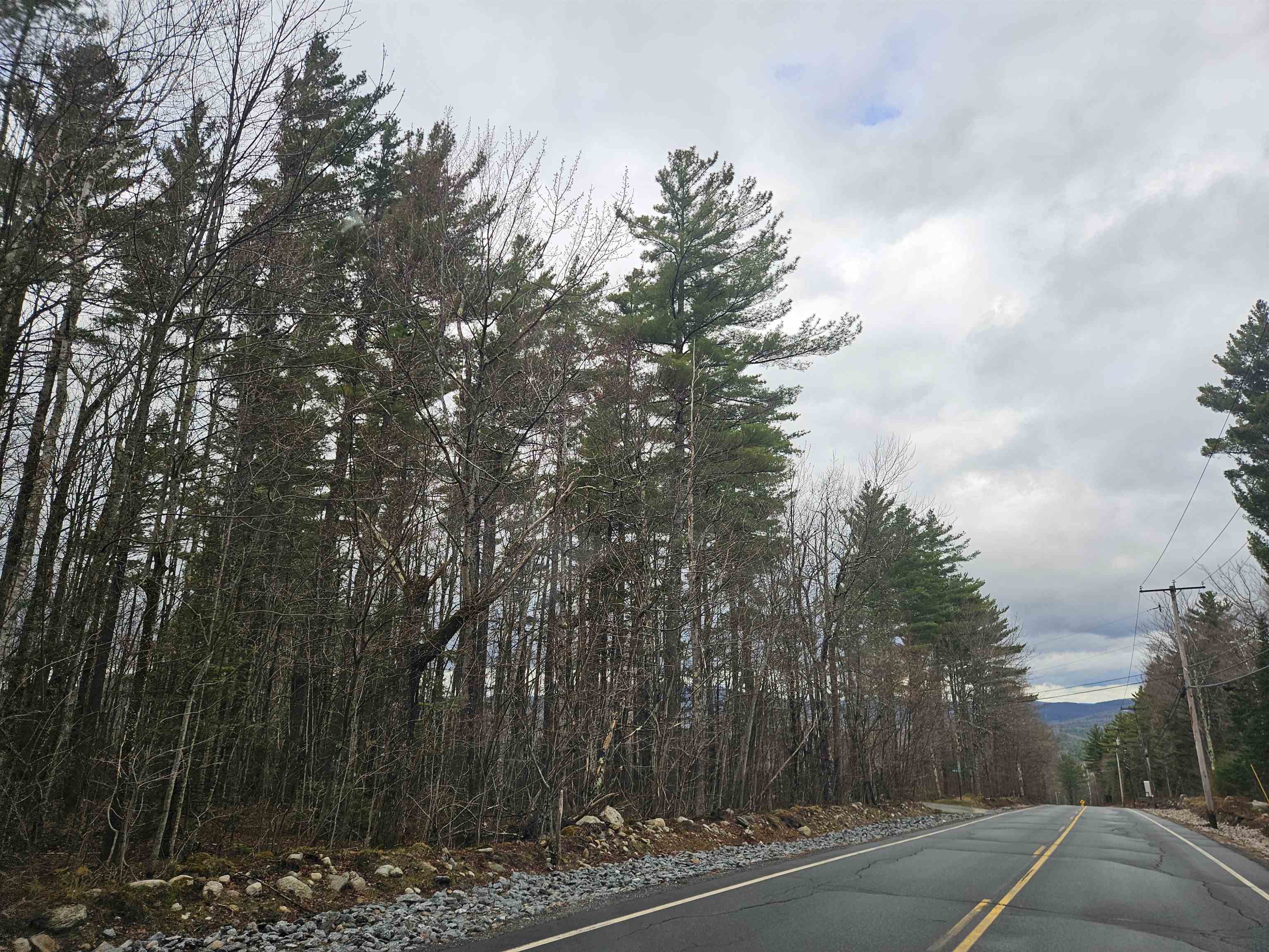 Property on the left in this photo