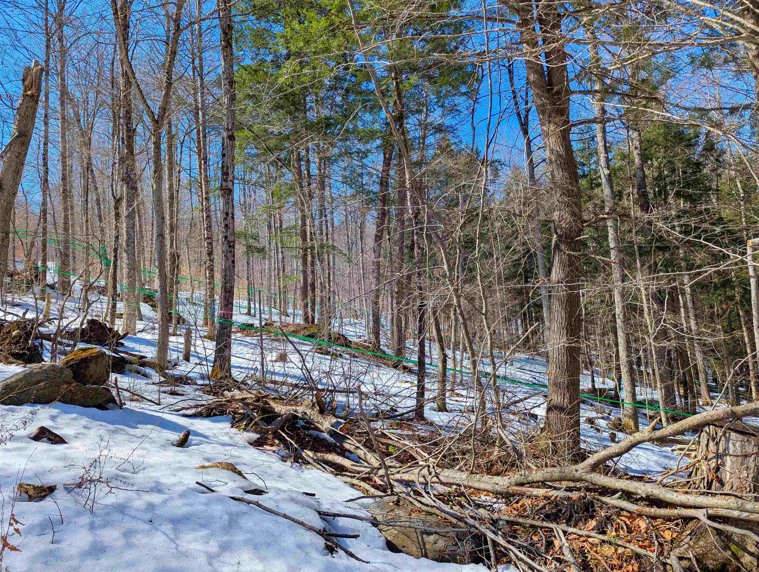 12 Old Route 12, Barnard, VT 05031