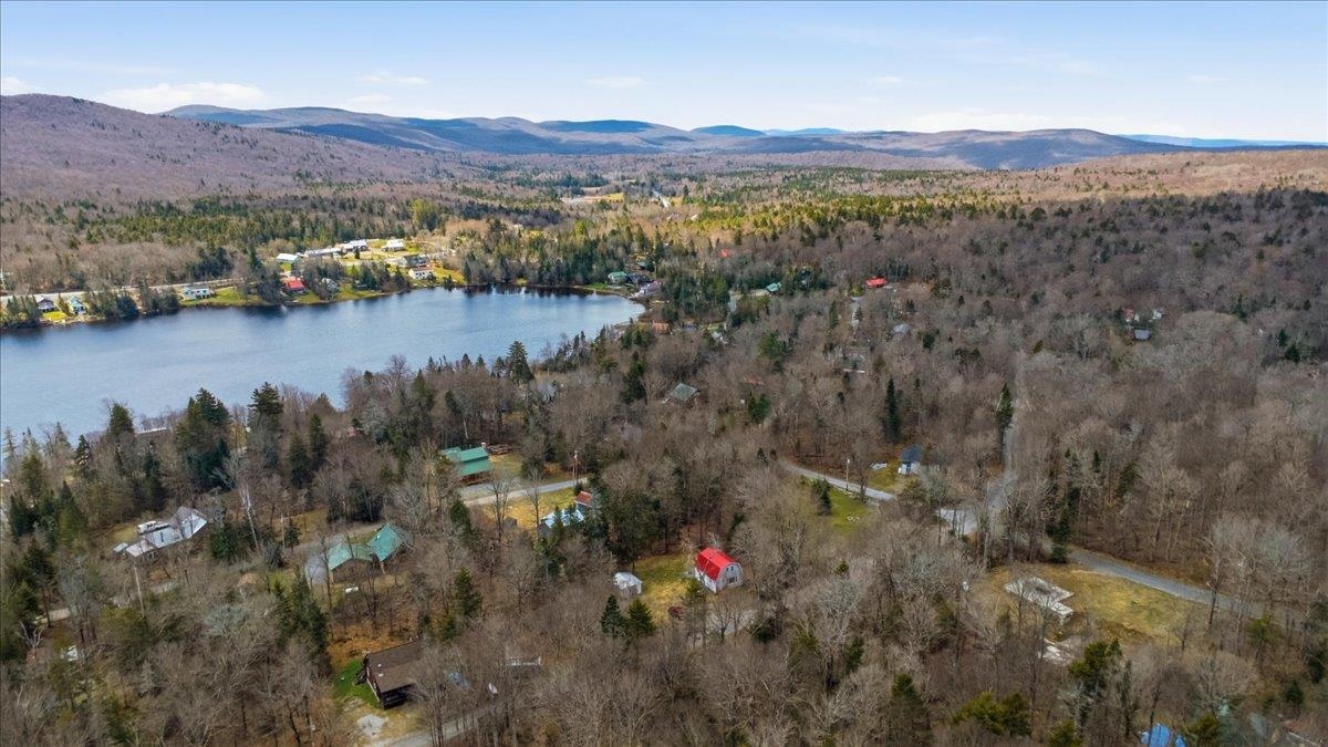 Woodford VT&nbsp;Home for sale $259,000 $317 per sq.ft.