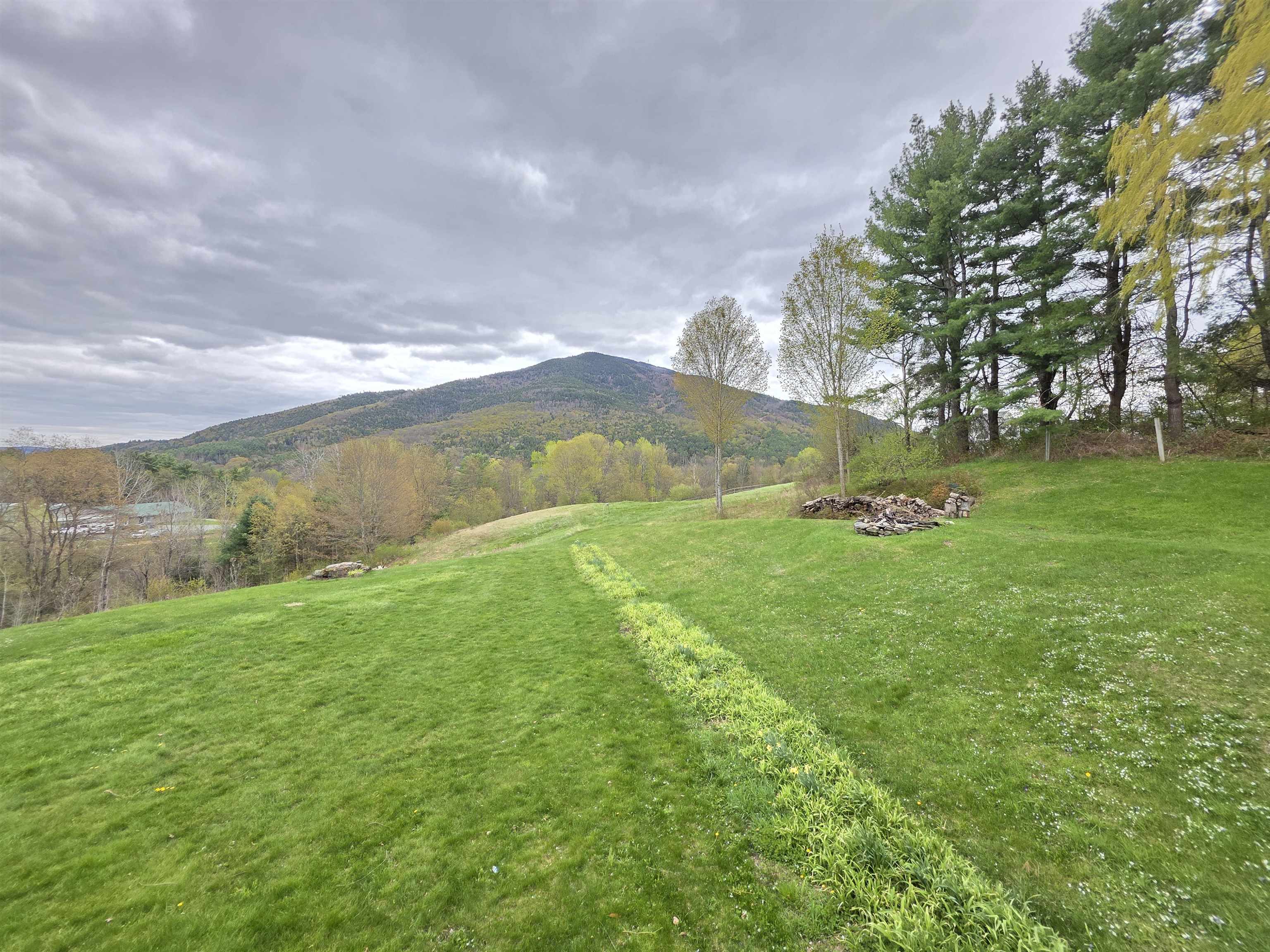 View from the deck 25168304