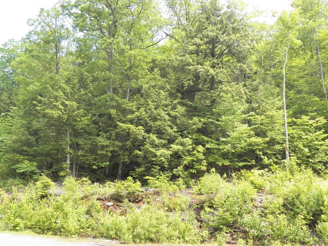 230-021 Thurlow St, Plymouth, NH 03264