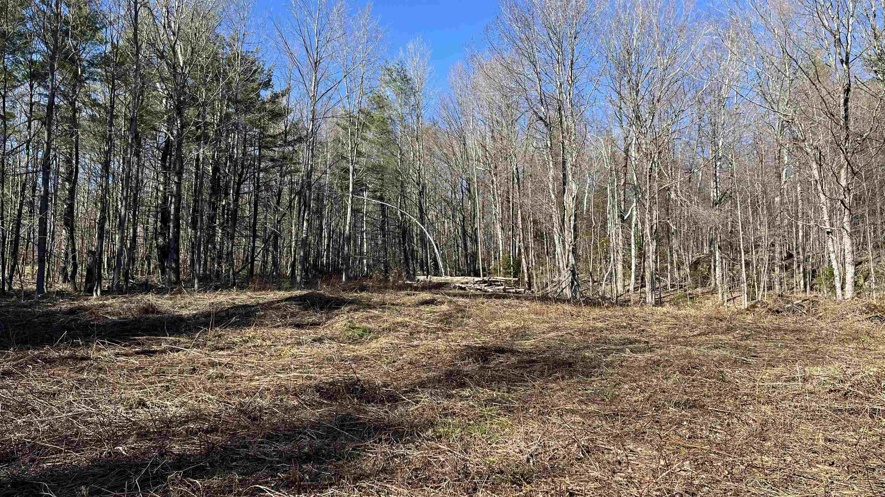 Plymouth VT&nbsp;Land for sale $149,000 | 10.6 Acres  | Price Per Acre $0  | Total Lots 3