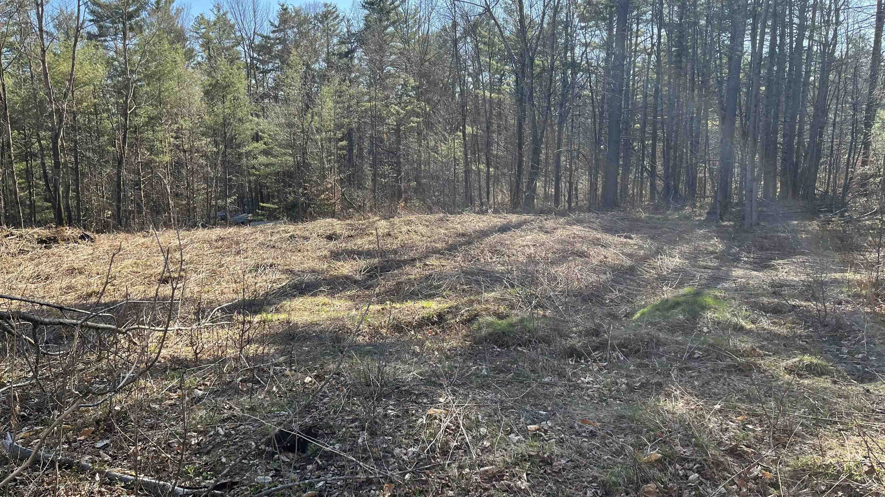 Cleared Area for Wastewater System & House