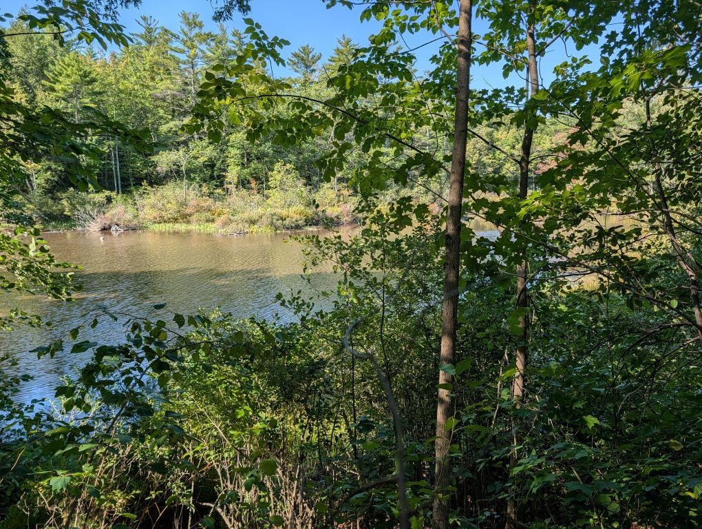 Photo 2 of Single family home for sale at 252 Merrymeeting Rd, New Durham, NH 03855 | MLS# 5086741 | Listing updated on 2026-09-16