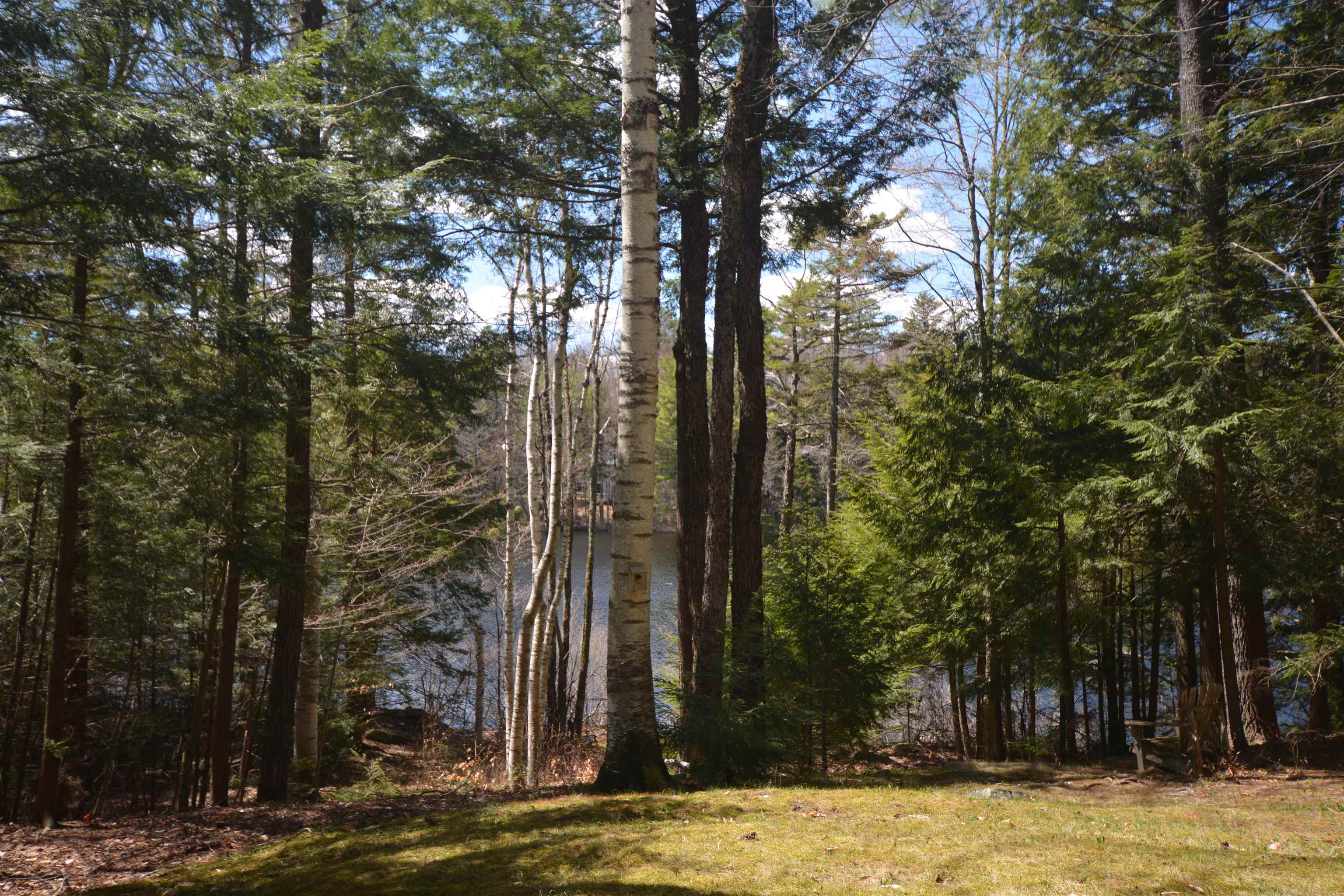 5 Auburn Brae, Grantham, NH 03753