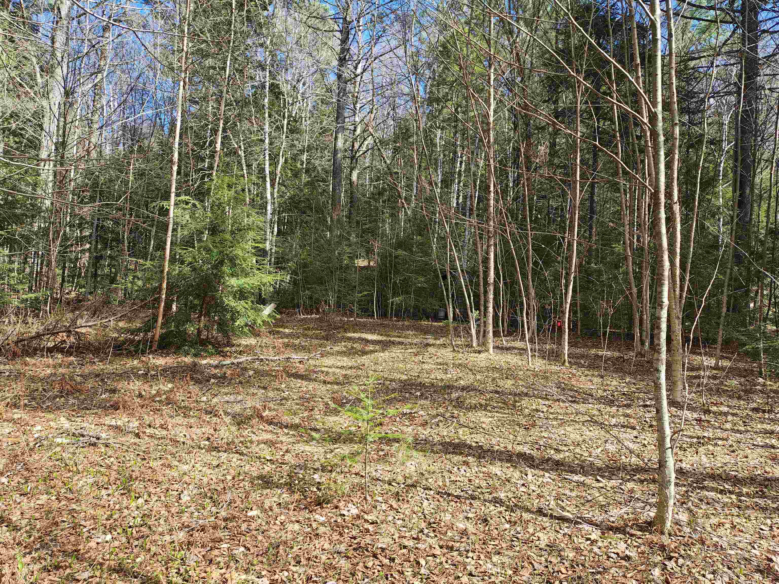184 Brock Hill Rd, Orange, NH 03741