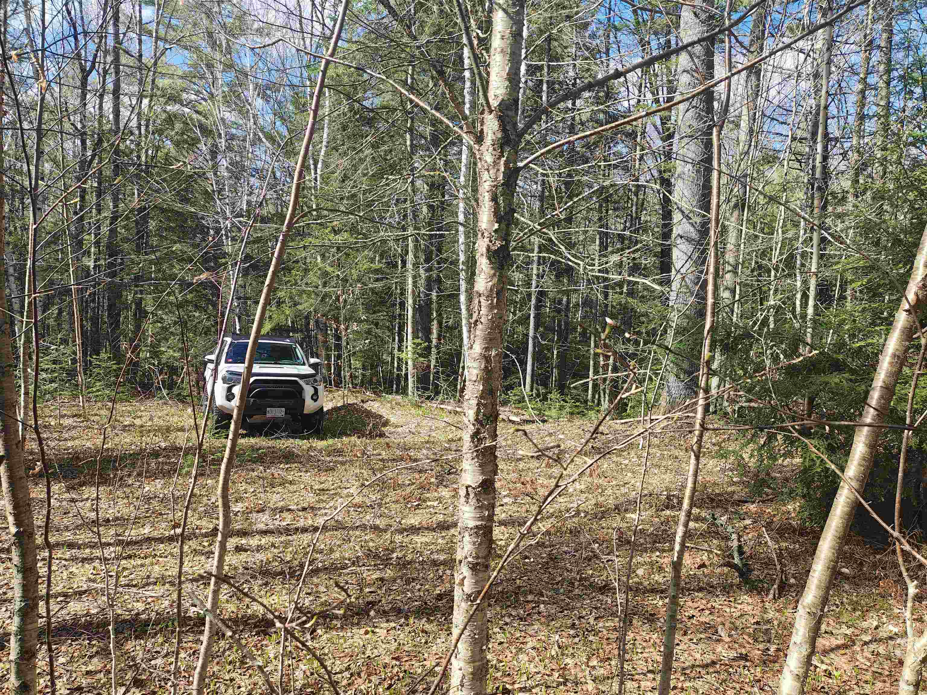 184 Brock Hill Rd, Orange, NH 03741