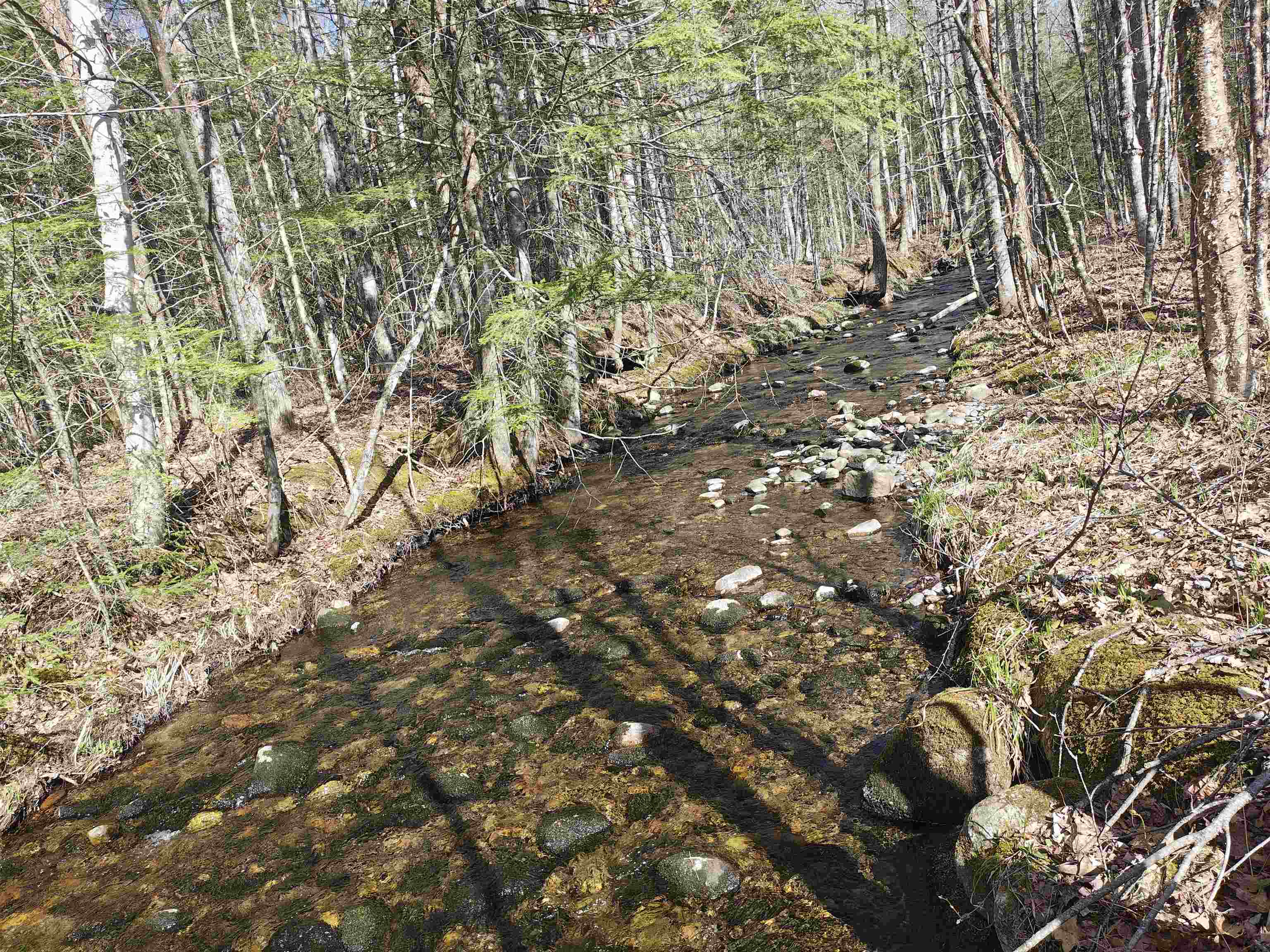 184 Brock Hill Rd, Orange, NH 03741