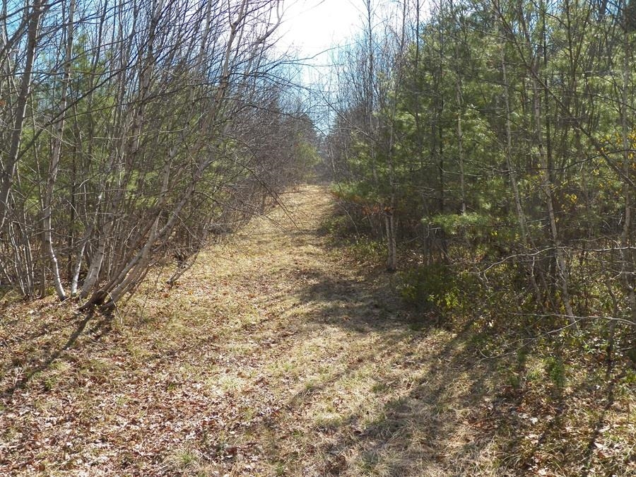 1986 Dover Rd, Epsom, NH 03234