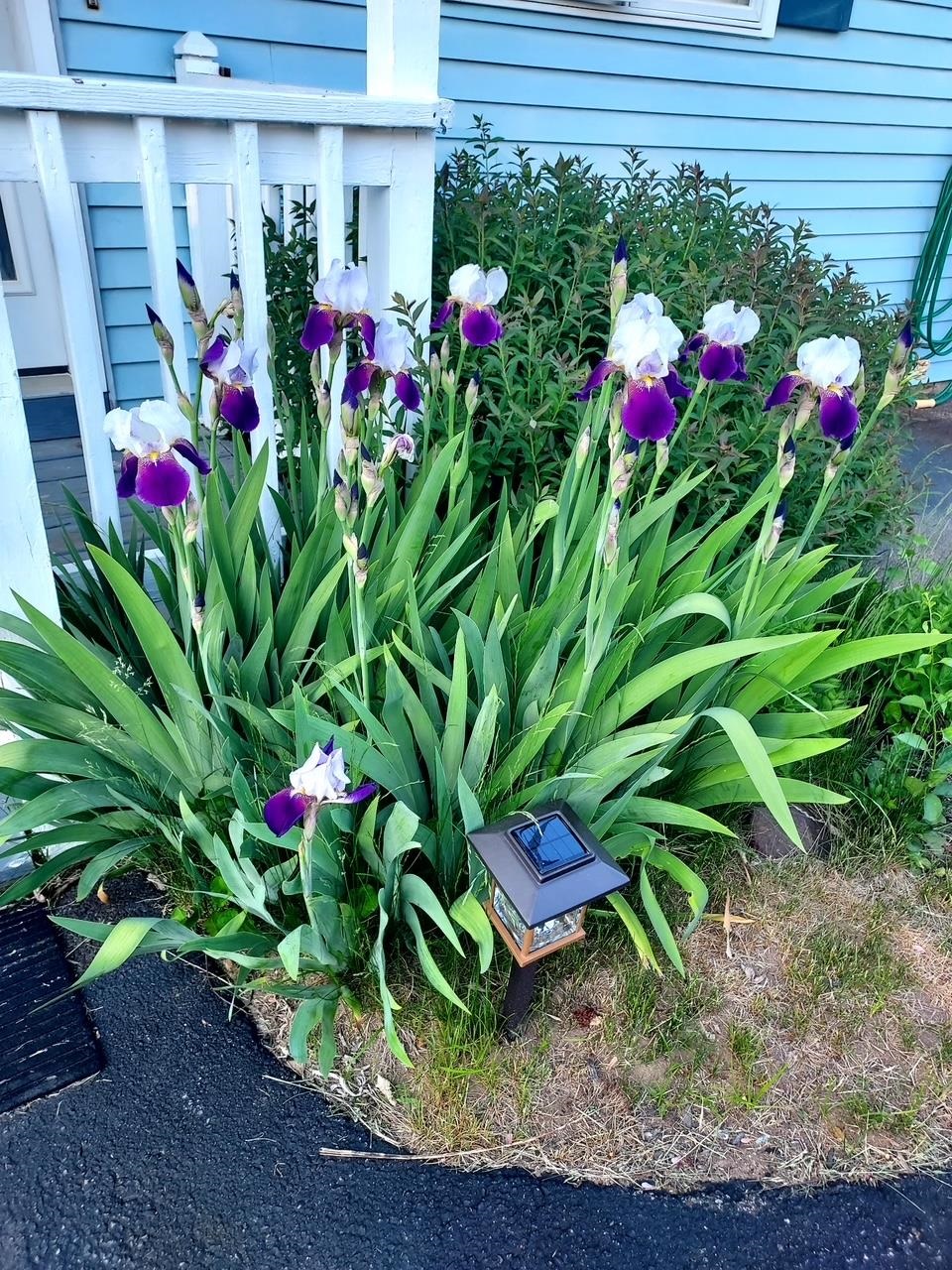 6 Marilyn Dr, Belmont, NH 03220