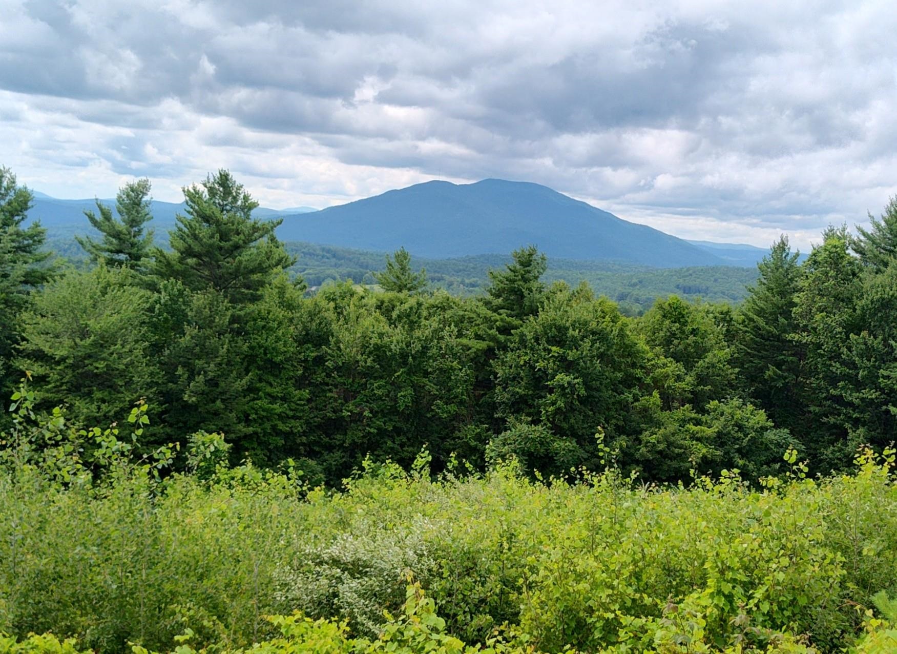 image of Claremont NH Land | 14.76 Acres