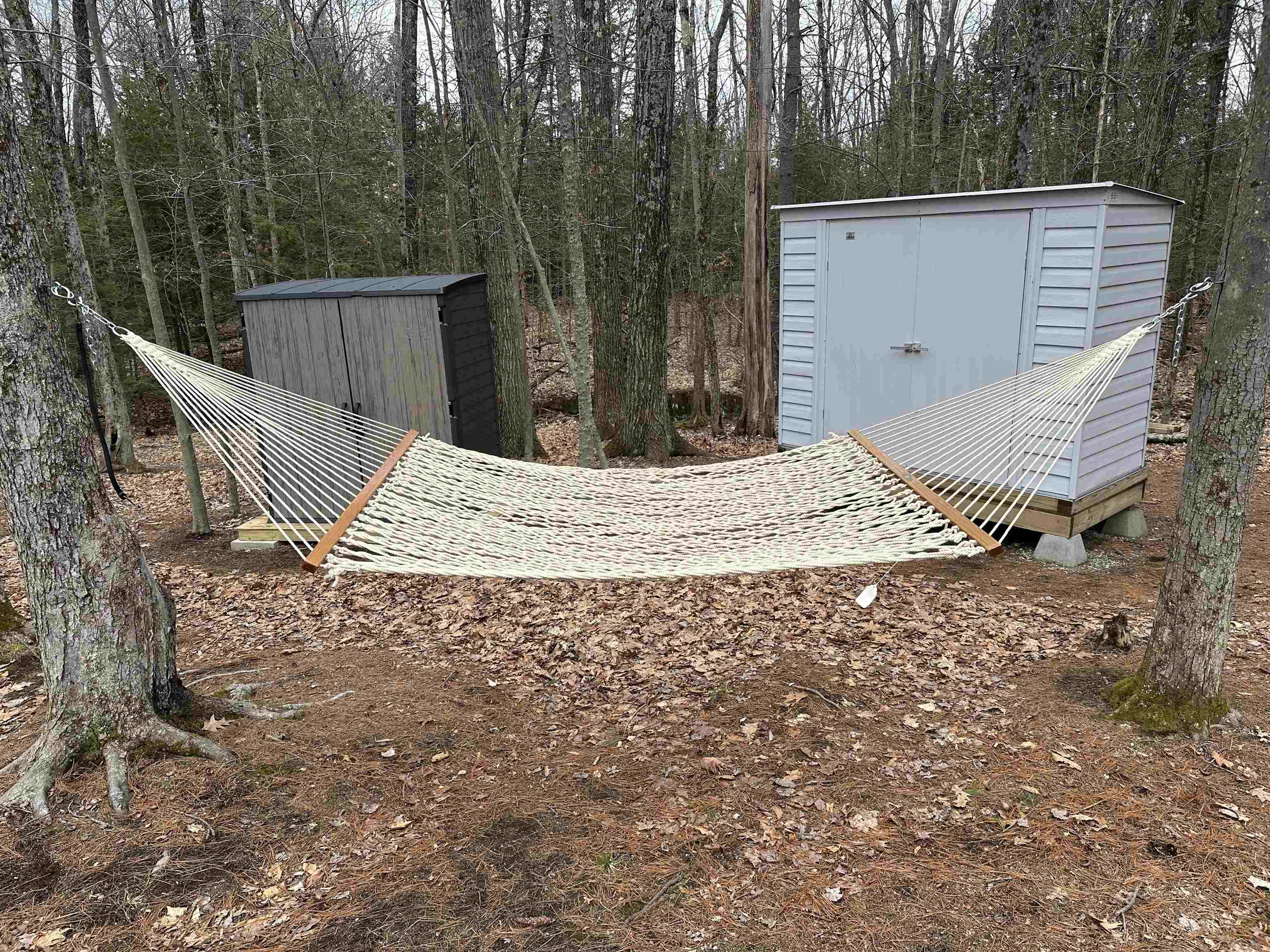 relax in the hammock 25168167