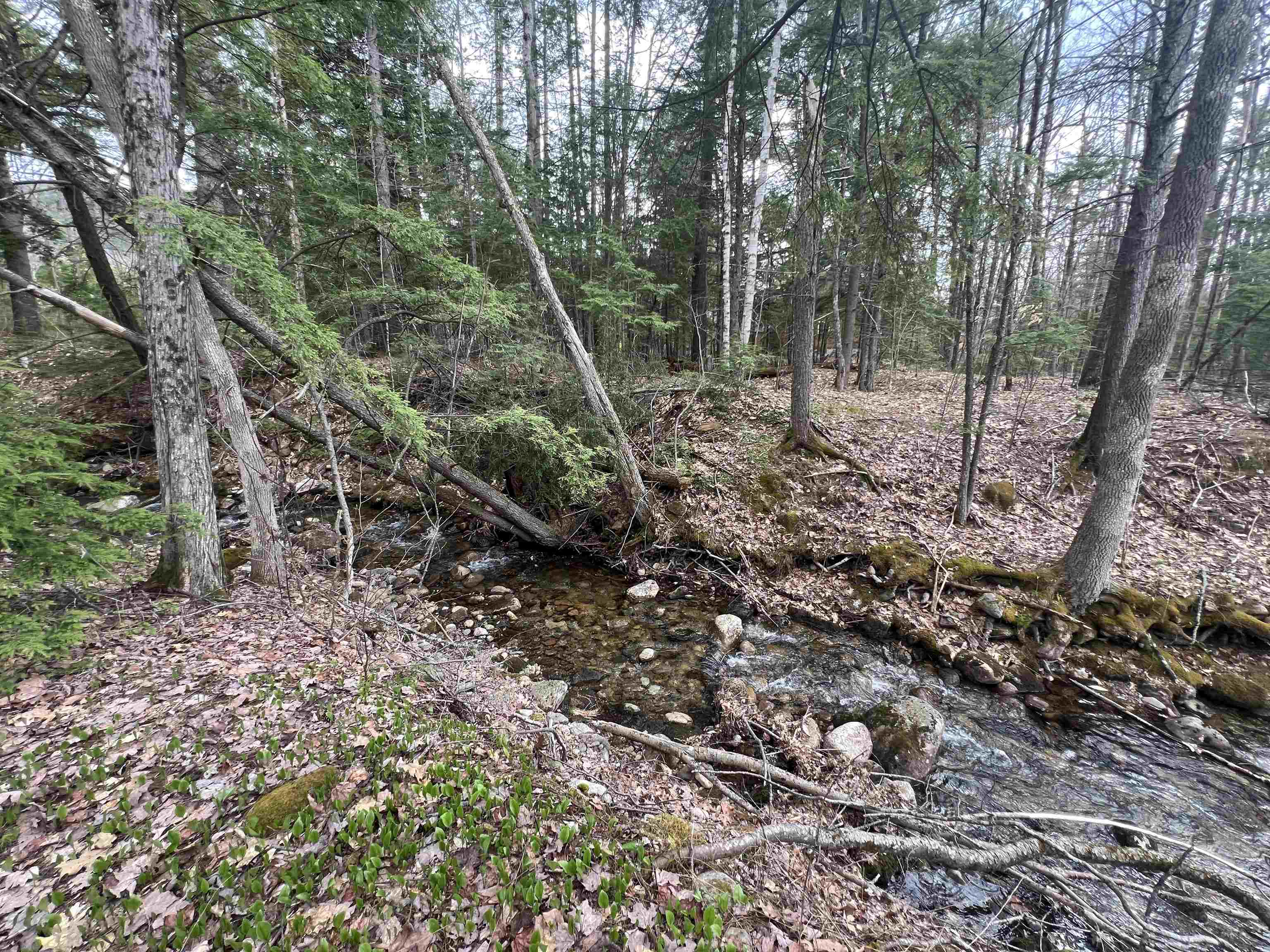 266 Thompson Rd, Conway, NH 03860